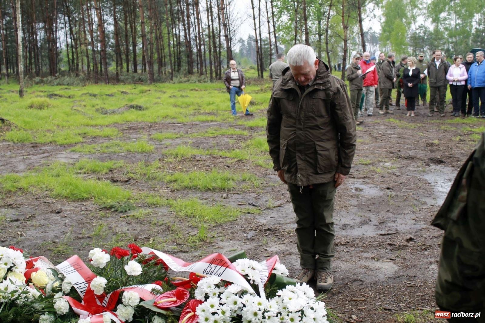 Zdjęcie w galerii na portalu naszraciborz.pl: Dąb Papieski ku pamięci, drzewa dla kolejnych pokoleń wiadomości z regionu