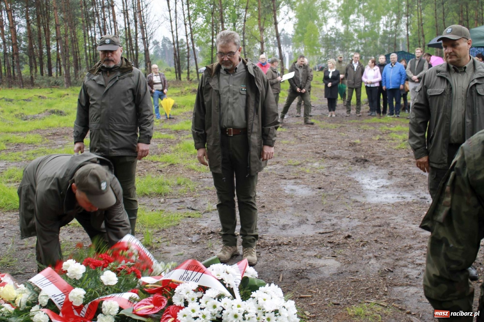 Zdjęcie w galerii na portalu naszraciborz.pl: Dąb Papieski ku pamięci, drzewa dla kolejnych pokoleń wiadomości z regionu