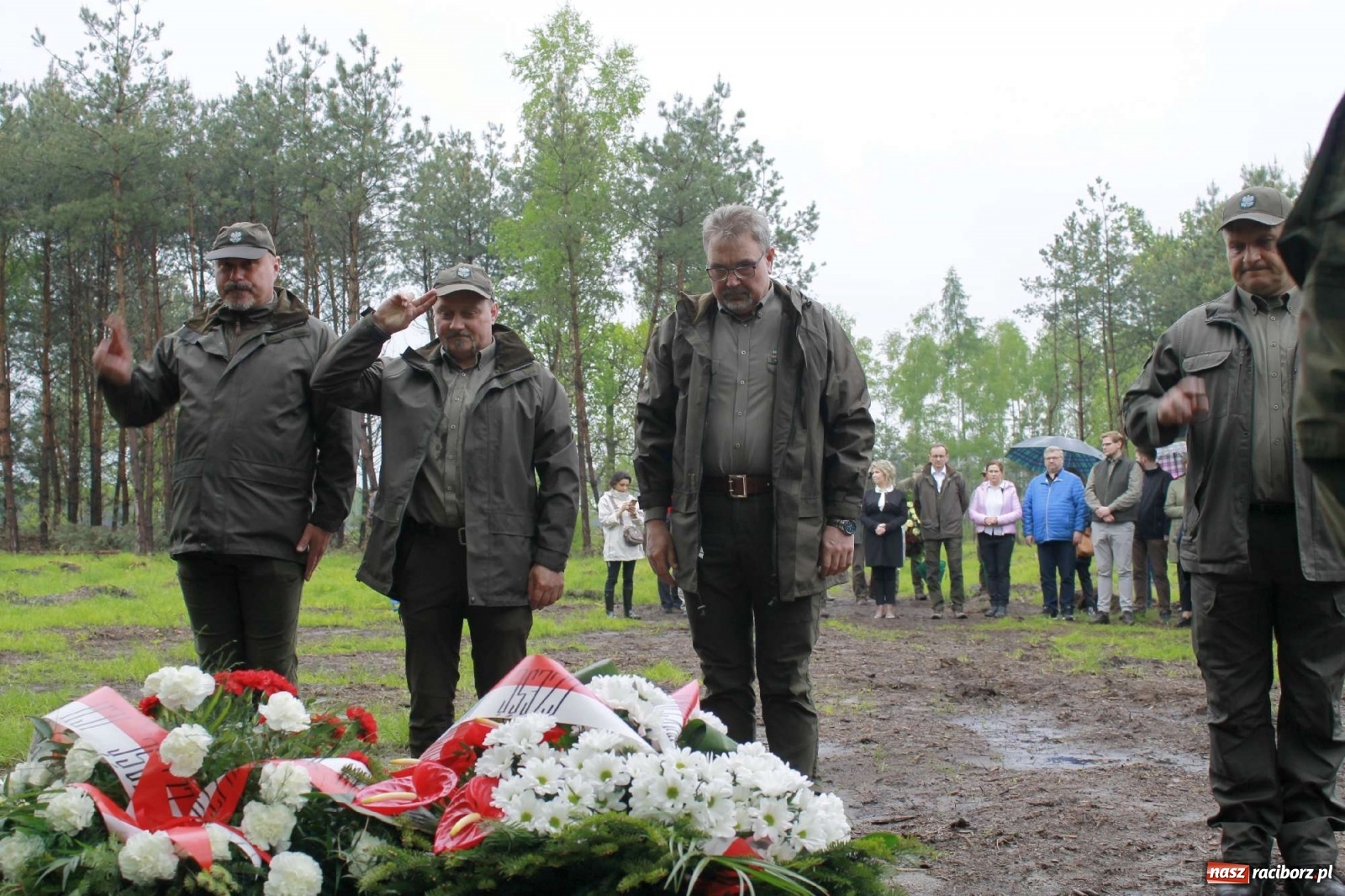 Zdjęcie w galerii na portalu naszraciborz.pl: Dąb Papieski ku pamięci, drzewa dla kolejnych pokoleń wiadomości z regionu