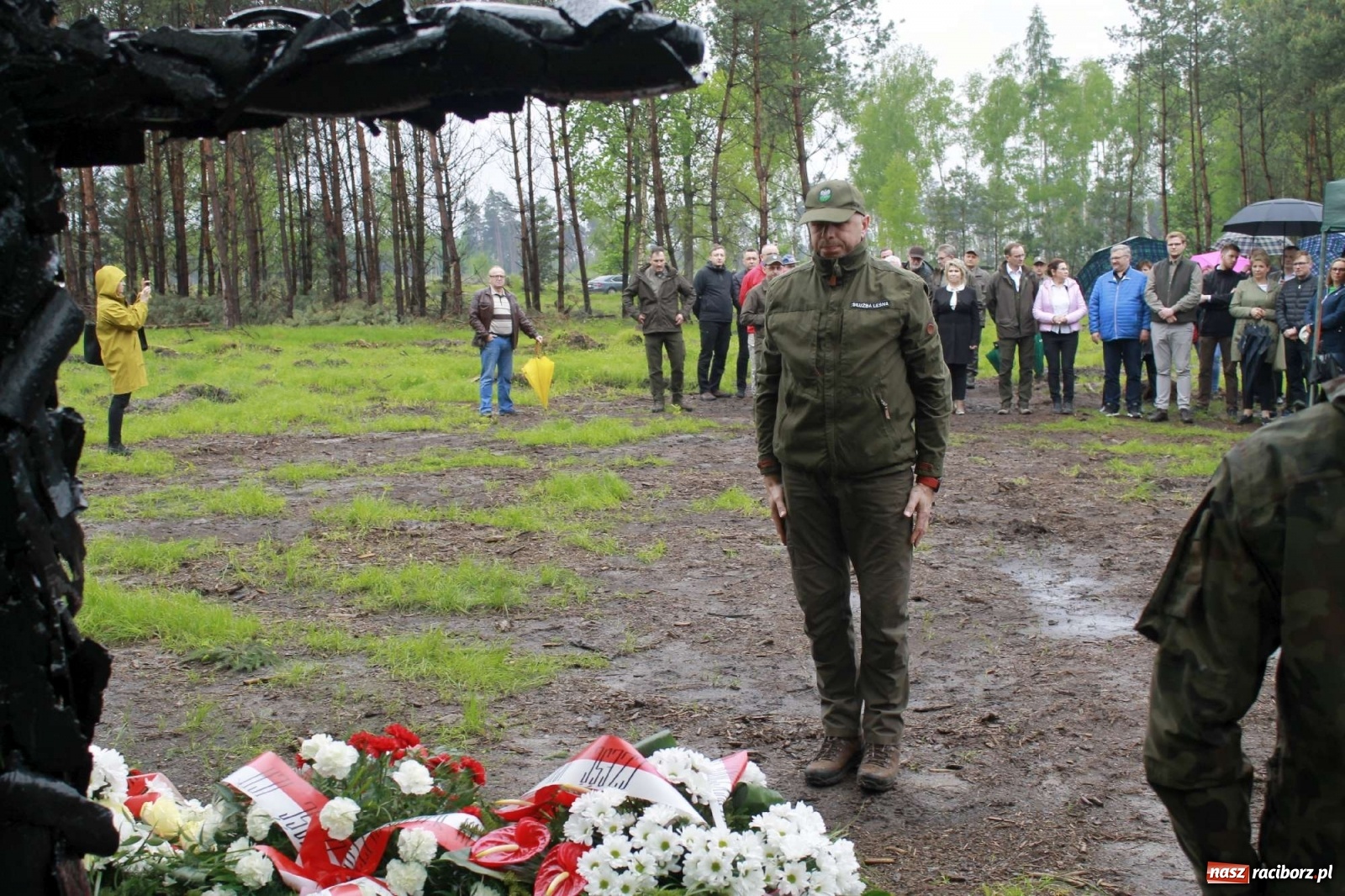 Zdjęcie w galerii na portalu naszraciborz.pl: Dąb Papieski ku pamięci, drzewa dla kolejnych pokoleń wiadomości z regionu