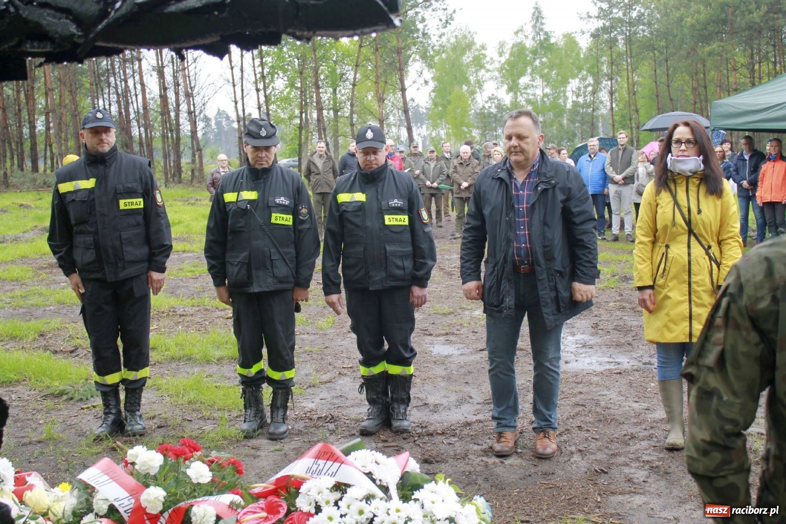 Zdjęcie w galerii na portalu naszraciborz.pl: Dąb Papieski ku pamięci, drzewa dla kolejnych pokoleń wiadomości z regionu