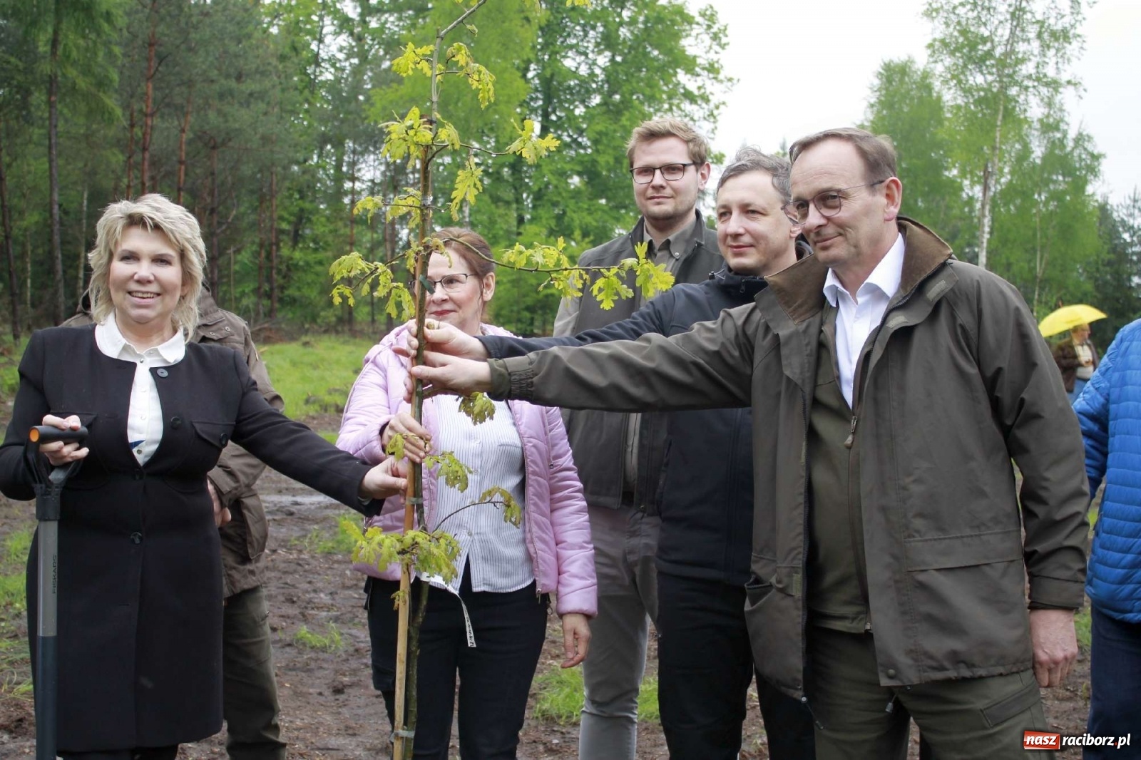 Zdjęcie w galerii na portalu naszraciborz.pl: Dąb Papieski ku pamięci, drzewa dla kolejnych pokoleń wiadomości z regionu