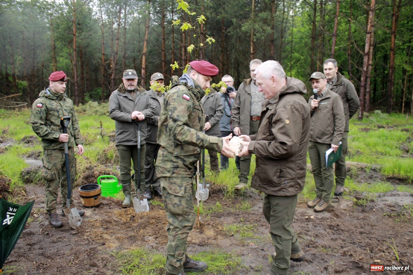 Zdjęcie w galerii na portalu naszraciborz.pl: Dąb Papieski ku pamięci, drzewa dla kolejnych pokoleń wiadomości z regionu