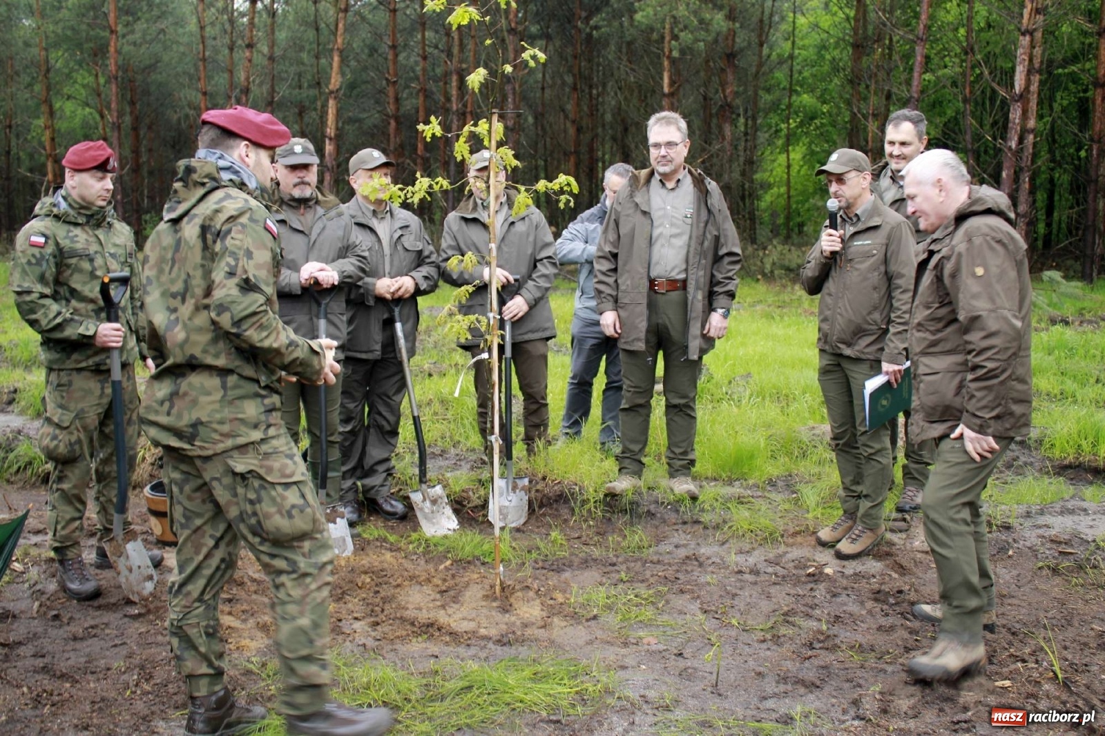 Zdjęcie w galerii na portalu naszraciborz.pl: Dąb Papieski ku pamięci, drzewa dla kolejnych pokoleń wiadomości z regionu