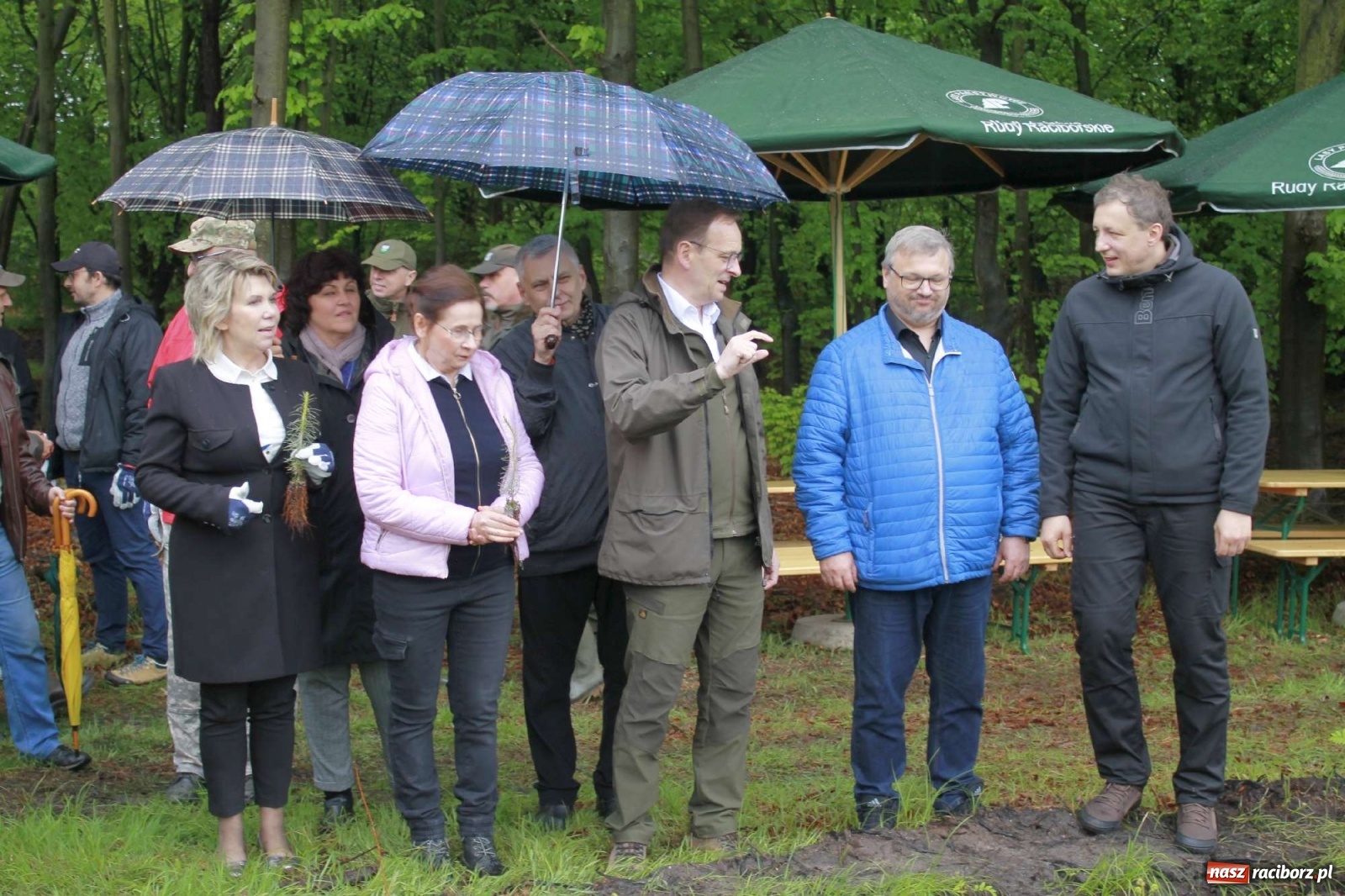 Zdjęcie w galerii na portalu naszraciborz.pl: Dąb Papieski ku pamięci, drzewa dla kolejnych pokoleń wiadomości z regionu