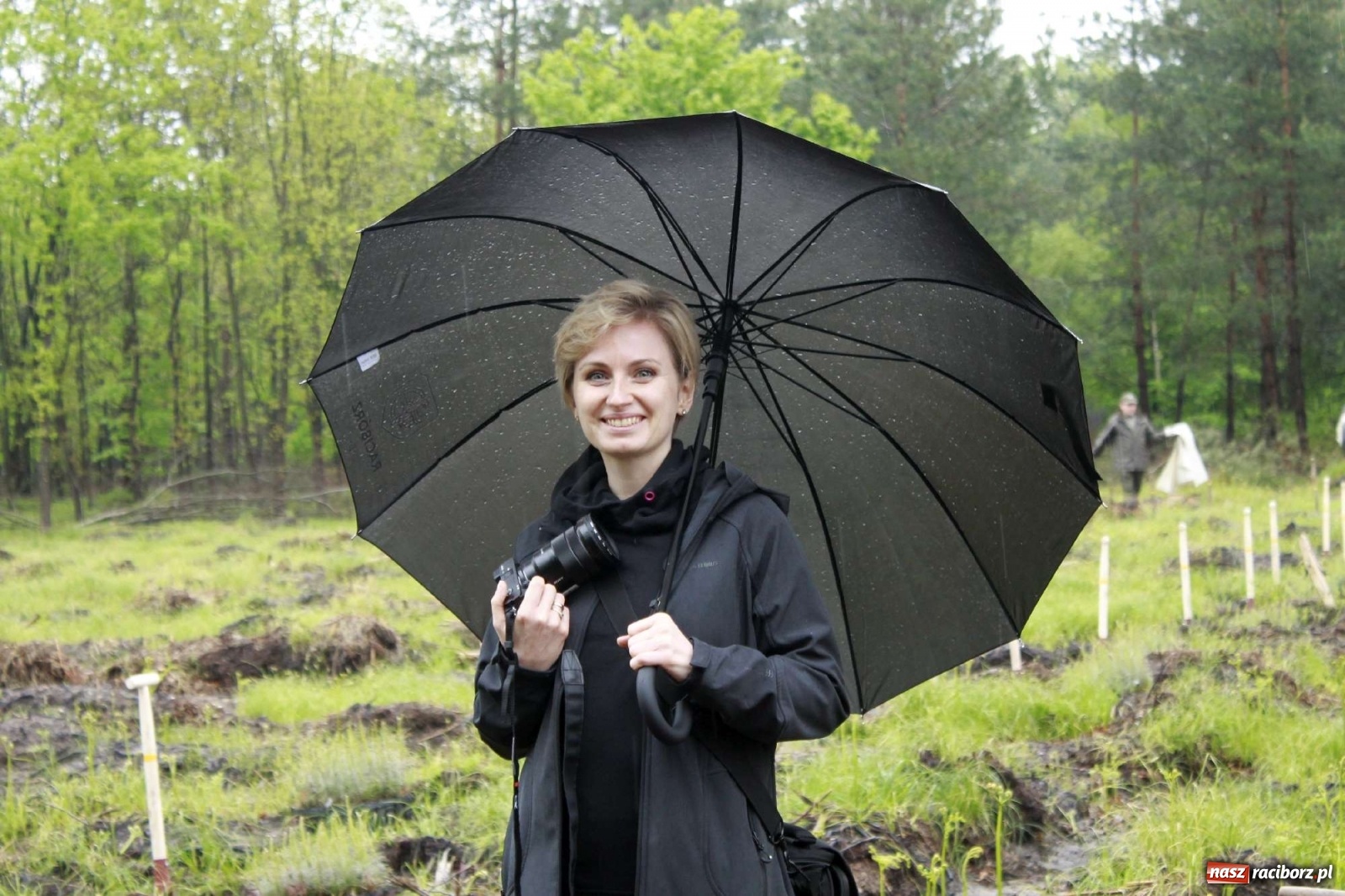 Zdjęcie w galerii na portalu naszraciborz.pl: Dąb Papieski ku pamięci, drzewa dla kolejnych pokoleń wiadomości z regionu