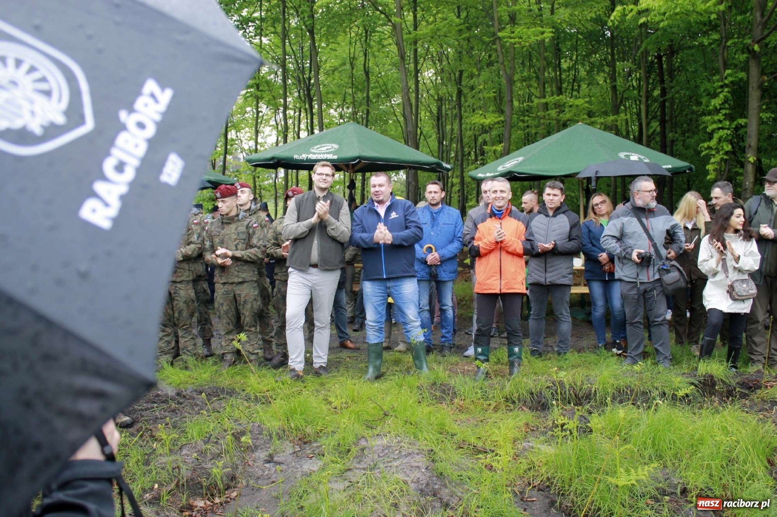 Zdjęcie w galerii na portalu naszraciborz.pl: Dąb Papieski ku pamięci, drzewa dla kolejnych pokoleń wiadomości z regionu