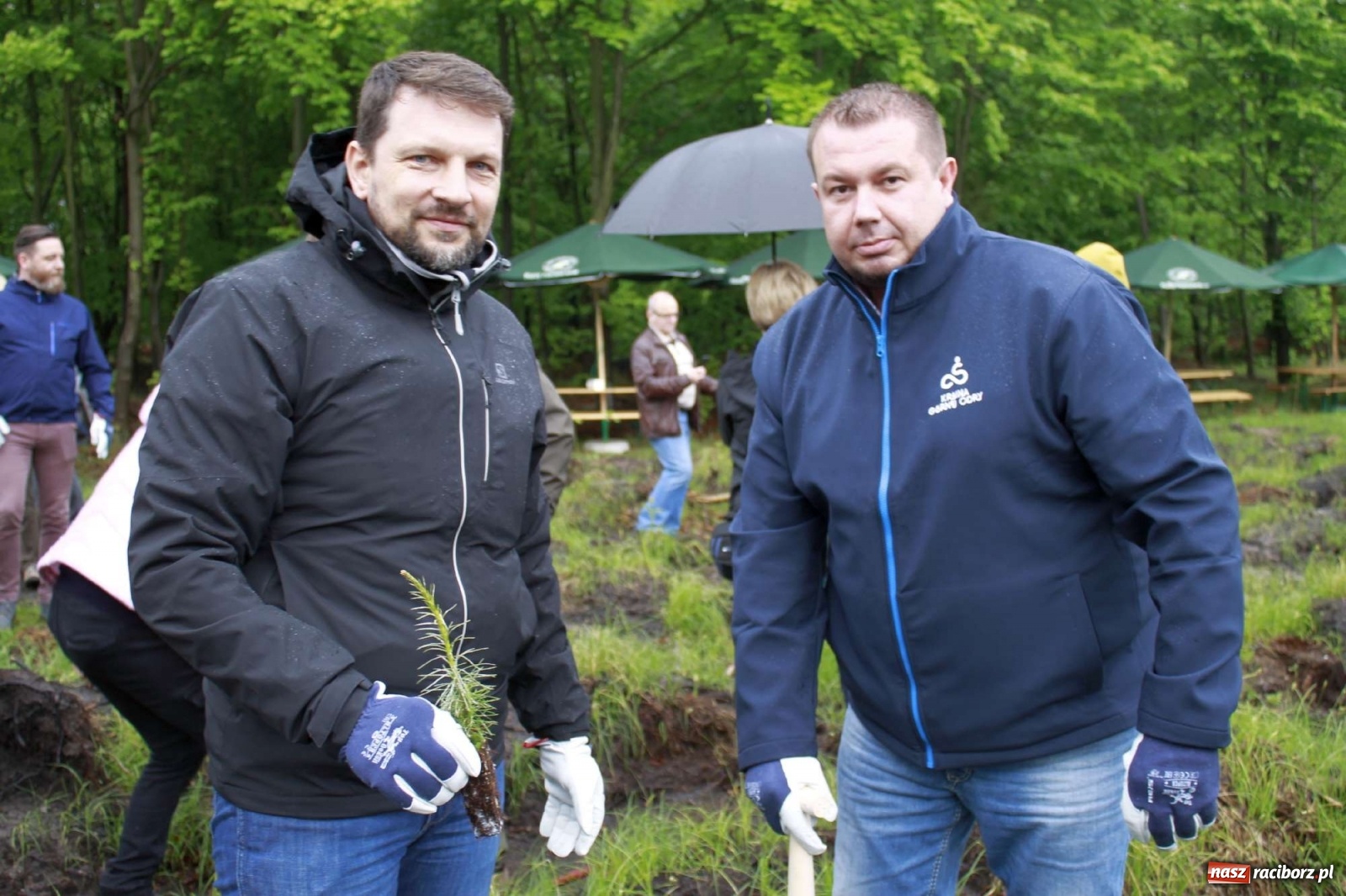 Zdjęcie w galerii na portalu naszraciborz.pl: Dąb Papieski ku pamięci, drzewa dla kolejnych pokoleń wiadomości z regionu