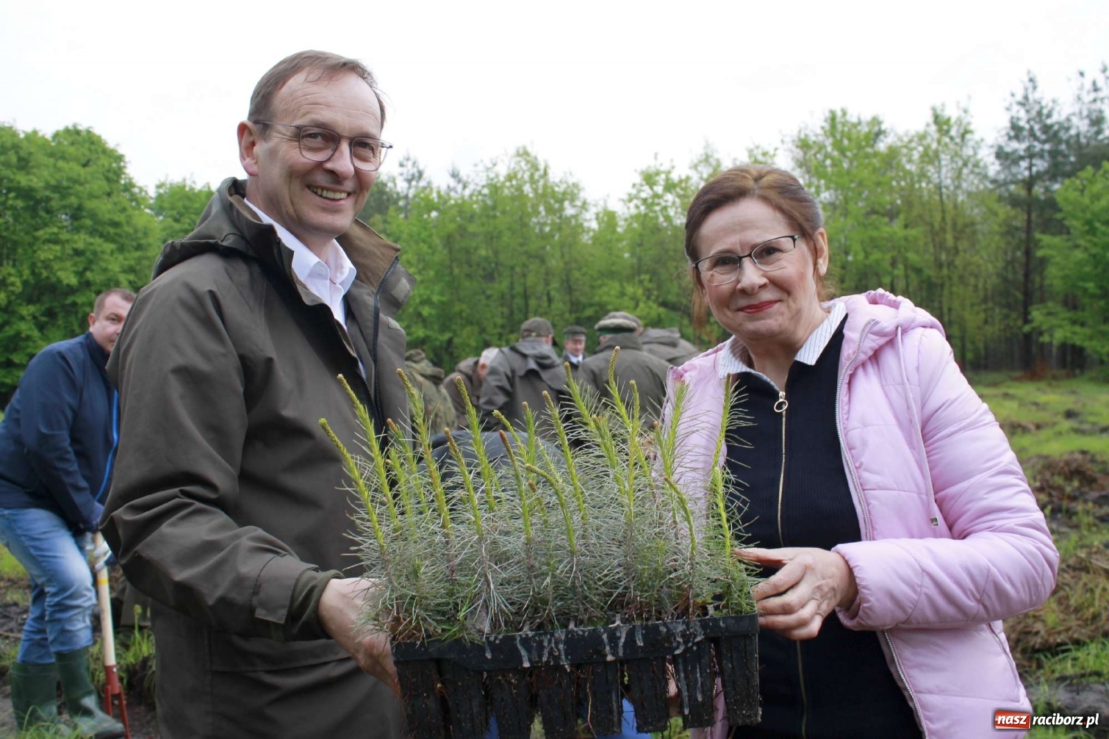 Zdjęcie w galerii na portalu naszraciborz.pl: Dąb Papieski ku pamięci, drzewa dla kolejnych pokoleń wiadomości z regionu