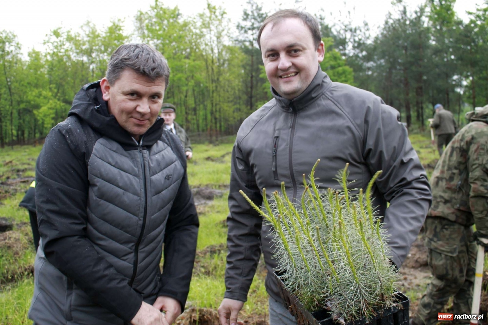 Zdjęcie w galerii na portalu naszraciborz.pl: Dąb Papieski ku pamięci, drzewa dla kolejnych pokoleń wiadomości z regionu