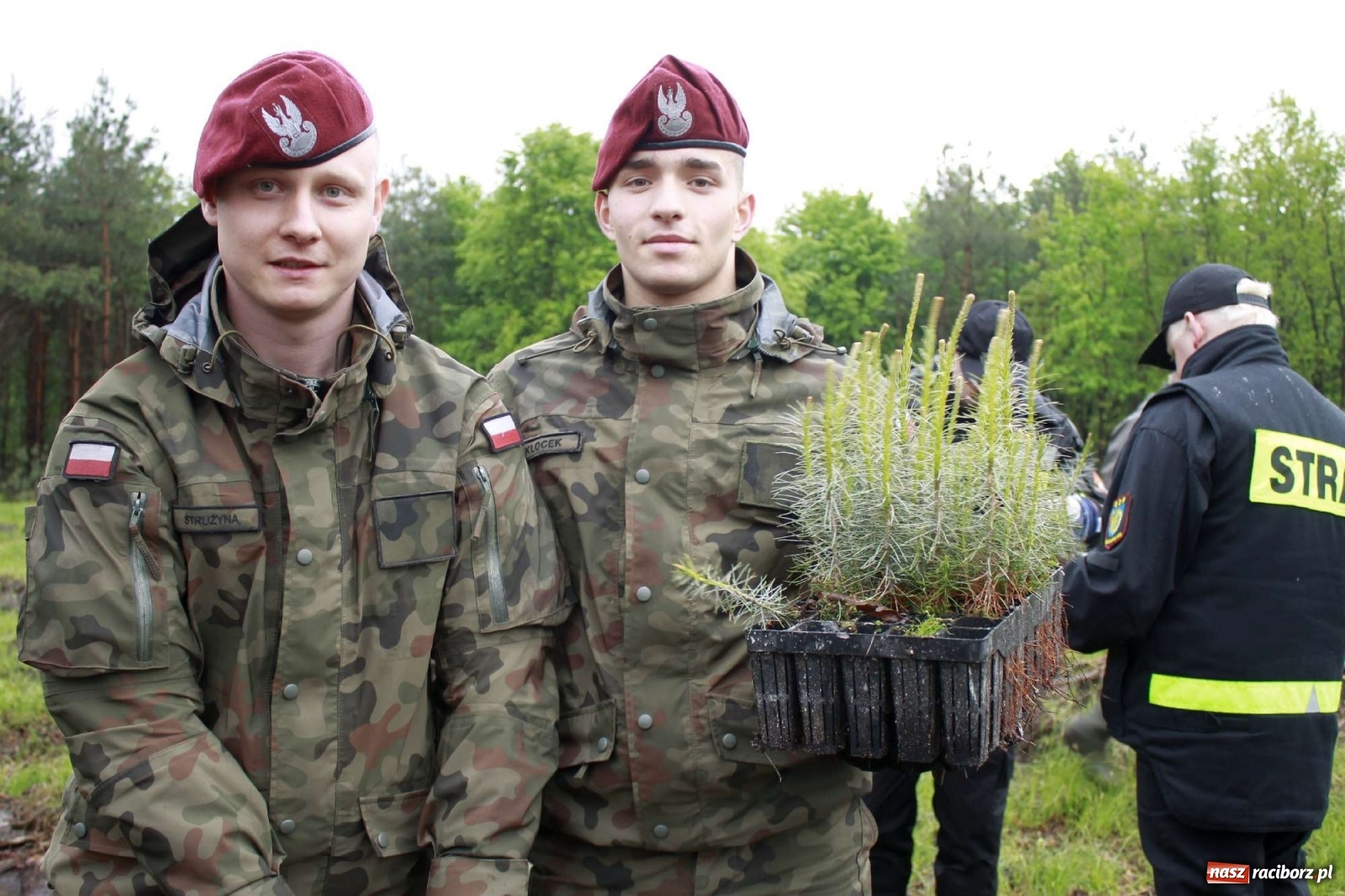 Zdjęcie w galerii na portalu naszraciborz.pl: Dąb Papieski ku pamięci, drzewa dla kolejnych pokoleń wiadomości z regionu