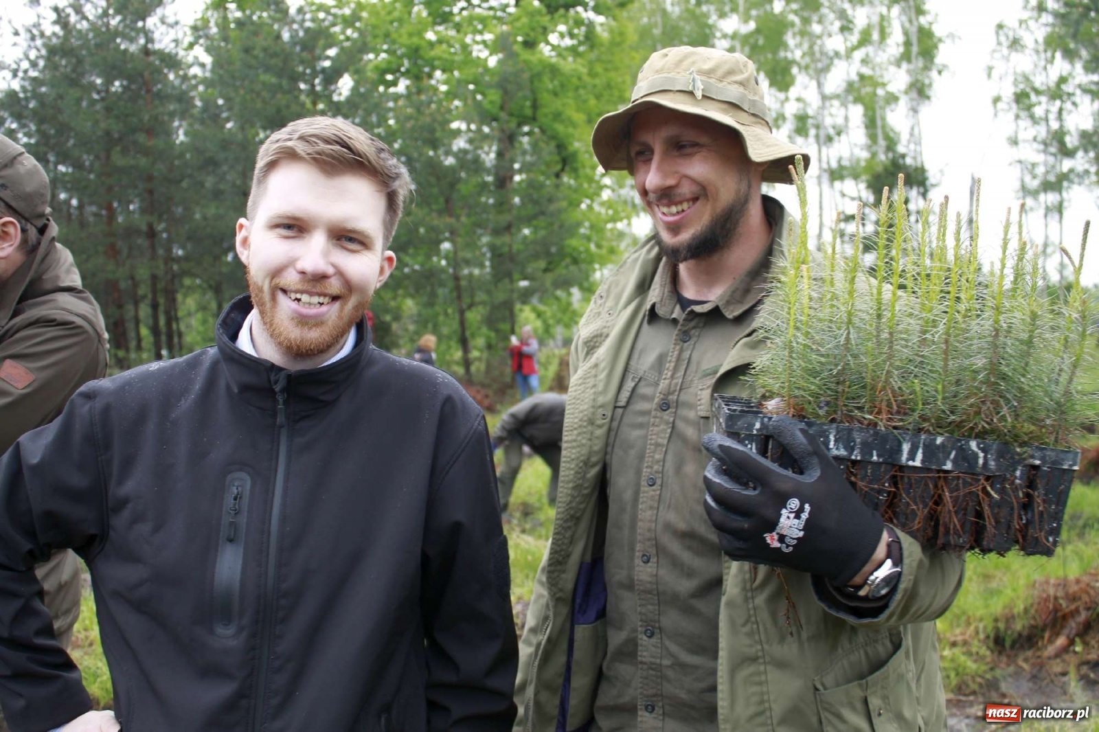 Zdjęcie w galerii na portalu naszraciborz.pl: Dąb Papieski ku pamięci, drzewa dla kolejnych pokoleń wiadomości z regionu