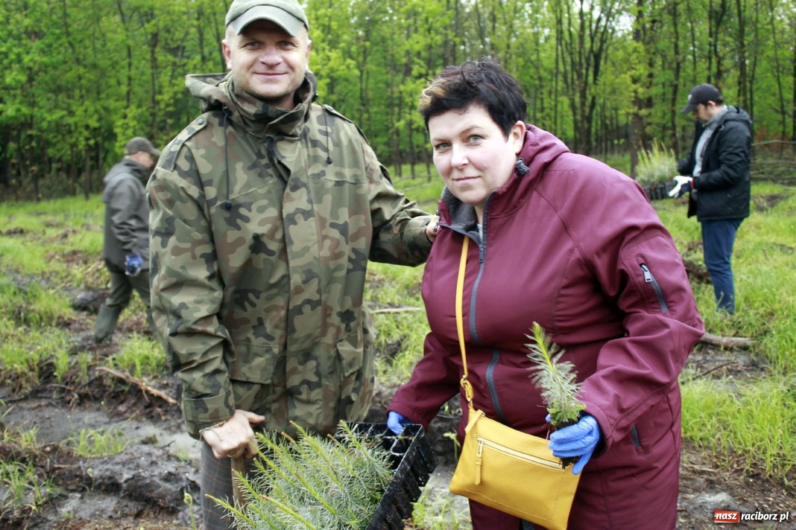 Zdjęcie w galerii na portalu naszraciborz.pl: Dąb Papieski ku pamięci, drzewa dla kolejnych pokoleń wiadomości z regionu