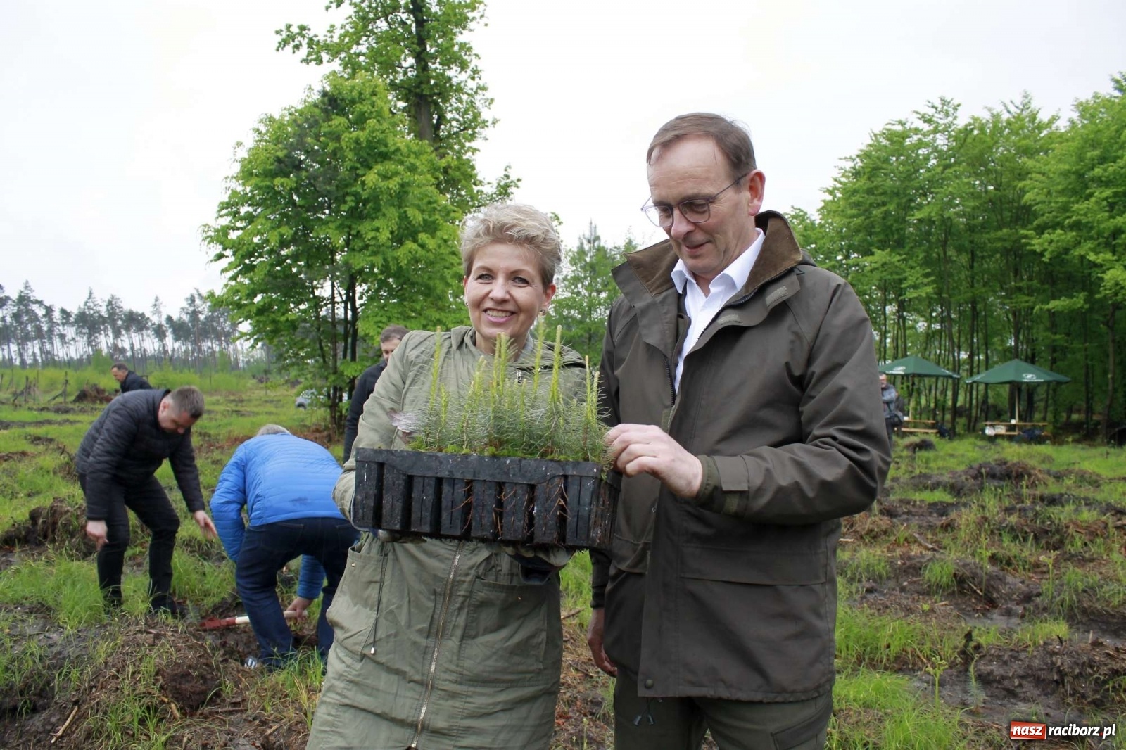Zdjęcie w galerii na portalu naszraciborz.pl: Dąb Papieski ku pamięci, drzewa dla kolejnych pokoleń wiadomości z regionu