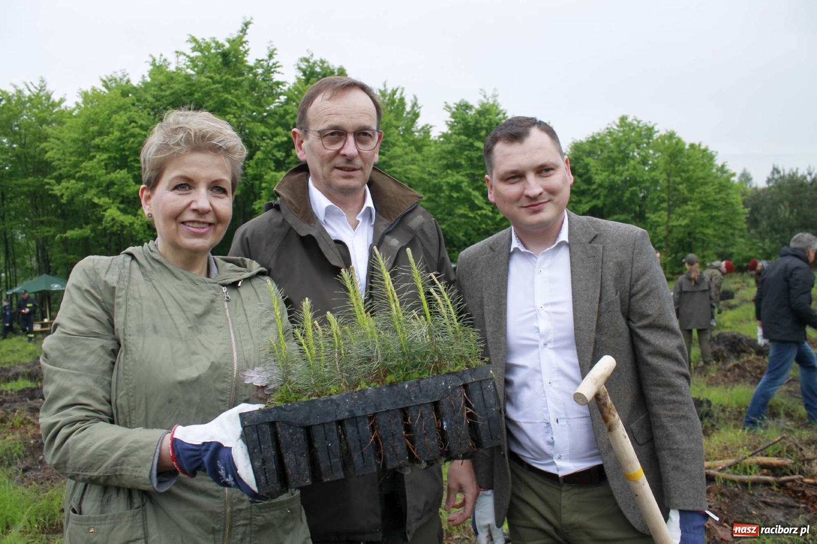 Zdjęcie w galerii na portalu naszraciborz.pl: Dąb Papieski ku pamięci, drzewa dla kolejnych pokoleń wiadomości z regionu