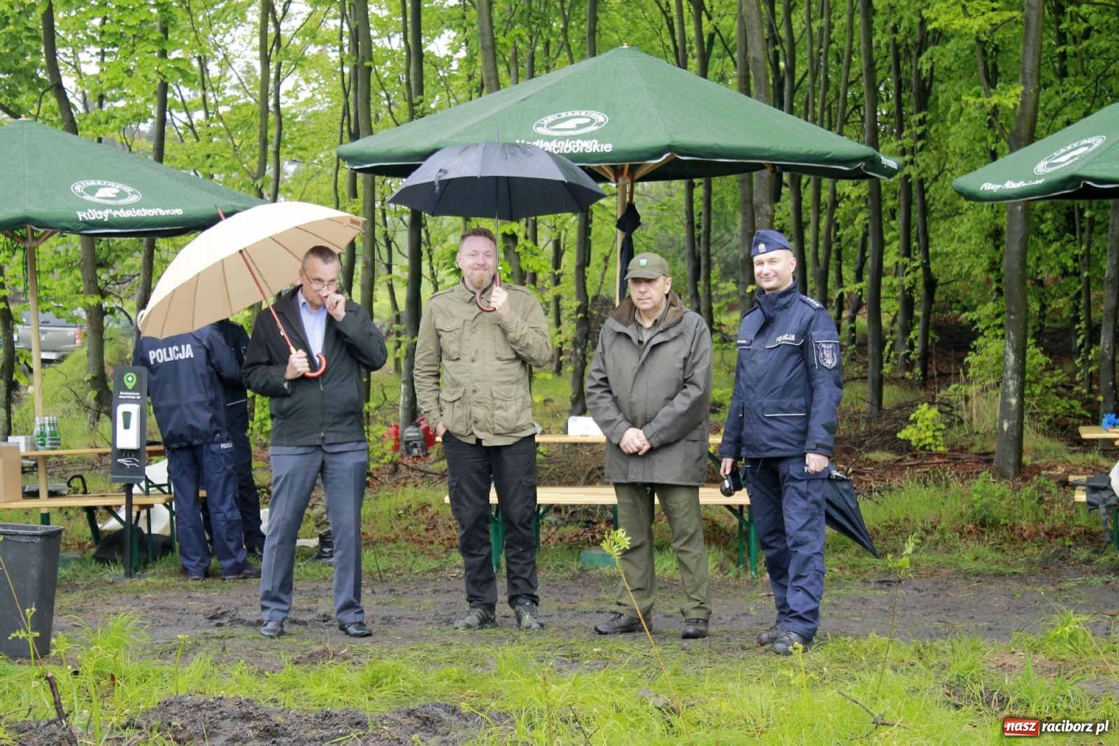 Zdjęcie w galerii na portalu naszraciborz.pl: Dąb Papieski ku pamięci, drzewa dla kolejnych pokoleń wiadomości z regionu