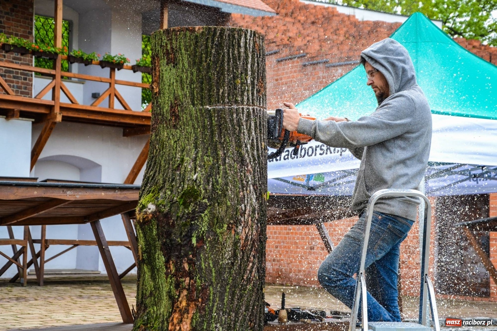 Zdjęcie w galerii na portalu naszraciborz.pl: Na zamku ruszył plener rzeźbiarski. Powstają rzeźbione postacie książąt raciborskich wiadomości z regionu