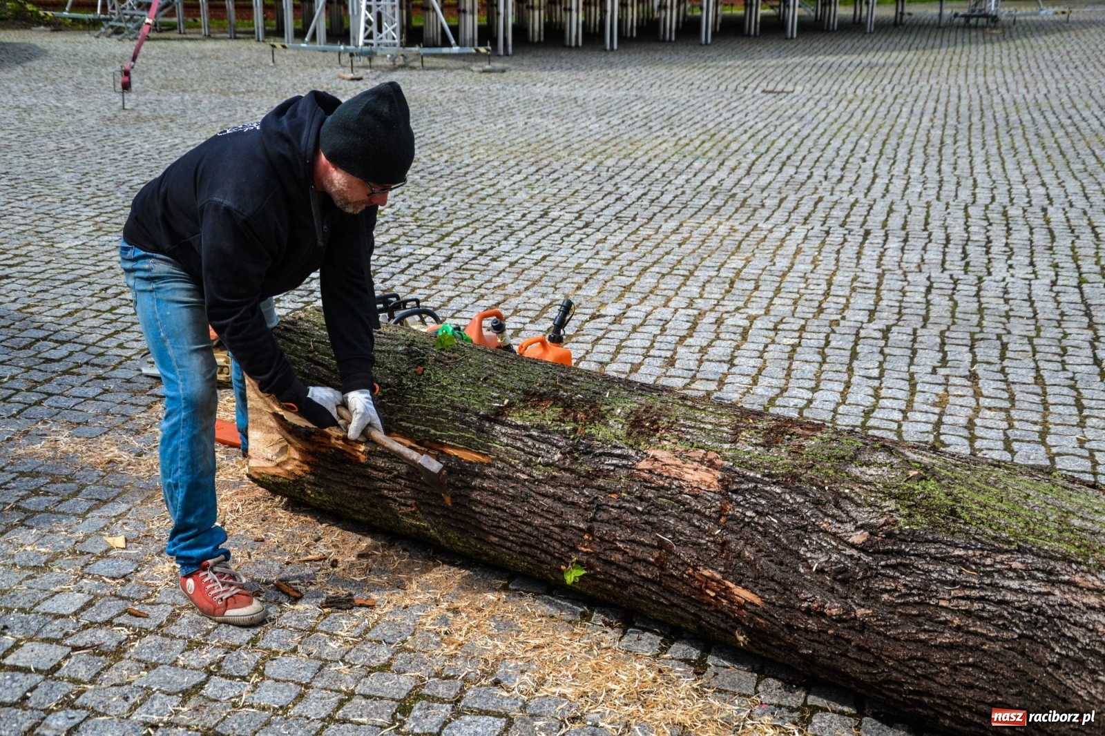 Zdjęcie w galerii na portalu naszraciborz.pl: Na zamku ruszył plener rzeźbiarski. Powstają rzeźbione postacie książąt raciborskich wiadomości z regionu