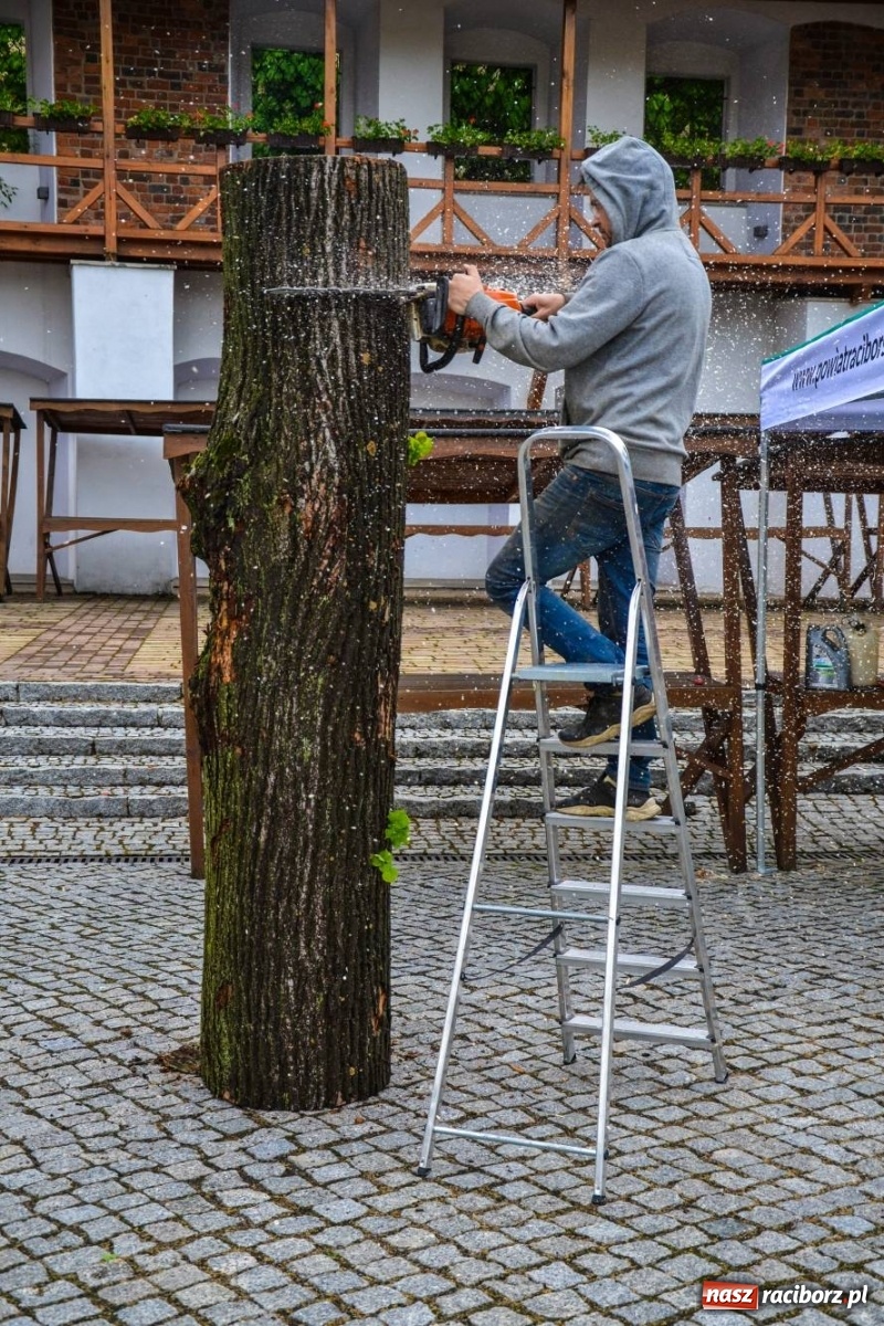 Zdjęcie w galerii na portalu naszraciborz.pl: Na zamku ruszył plener rzeźbiarski. Powstają rzeźbione postacie książąt raciborskich wiadomości z regionu