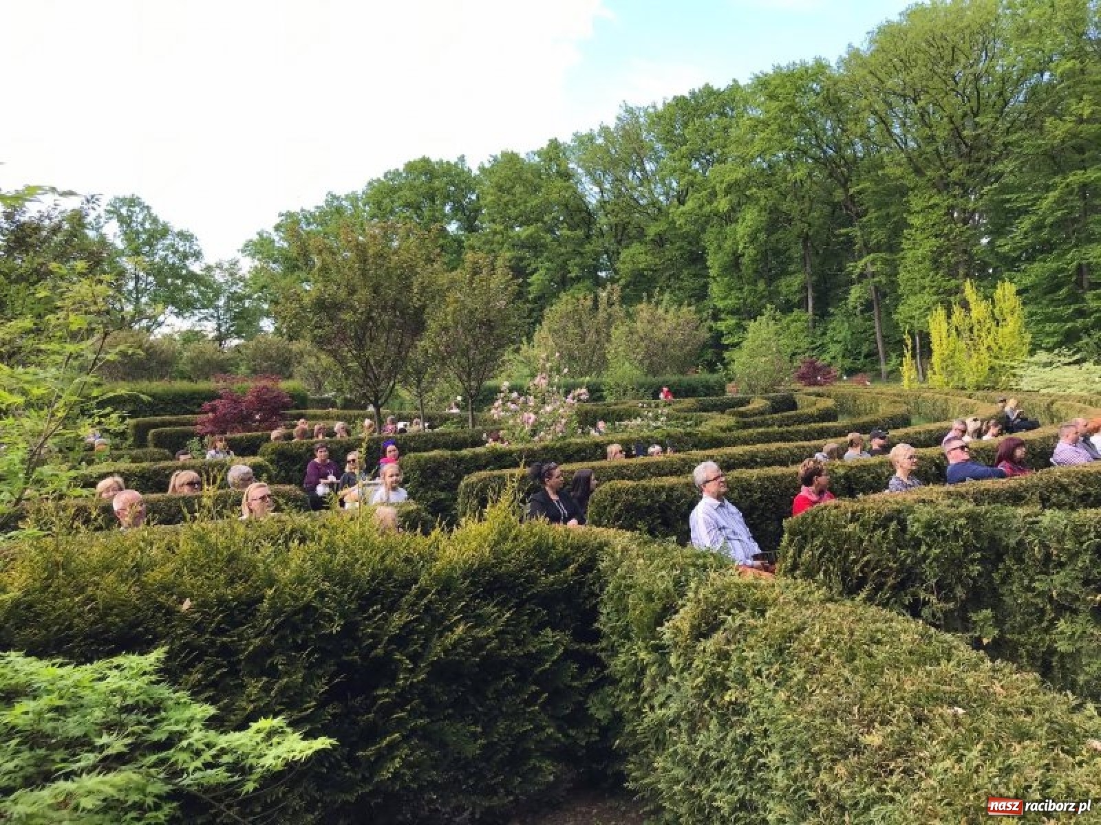 Zdjęcie w galerii na portalu naszraciborz.pl: Leśny kącik malucha kolejną atrakcją arboretum wiadomości z regionu