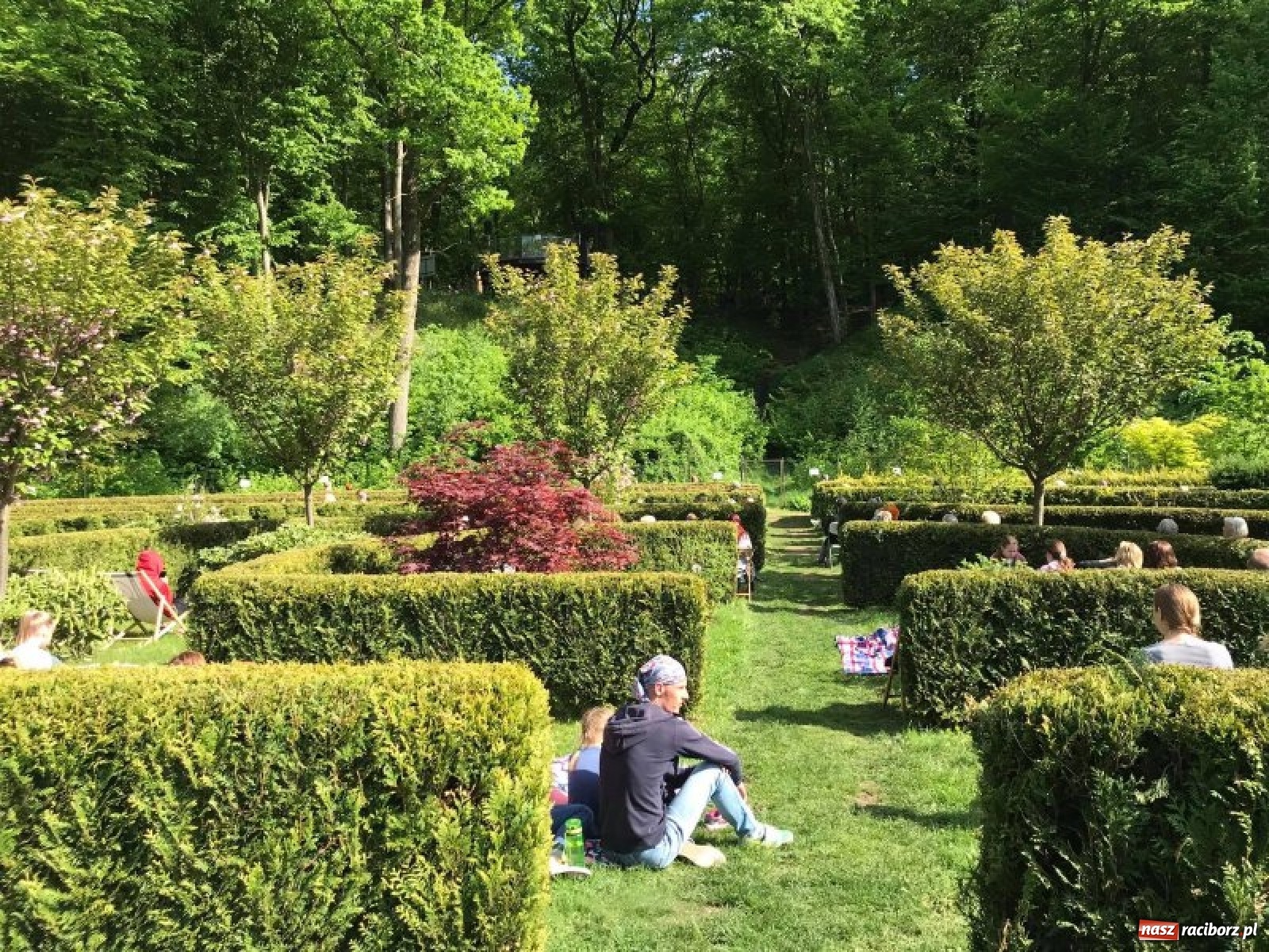 Zdjęcie w galerii na portalu naszraciborz.pl: Leśny kącik malucha kolejną atrakcją arboretum wiadomości z regionu