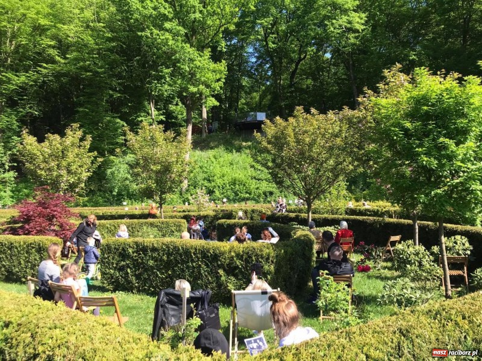 Zdjęcie w galerii na portalu naszraciborz.pl: Leśny kącik malucha kolejną atrakcją arboretum wiadomości z regionu