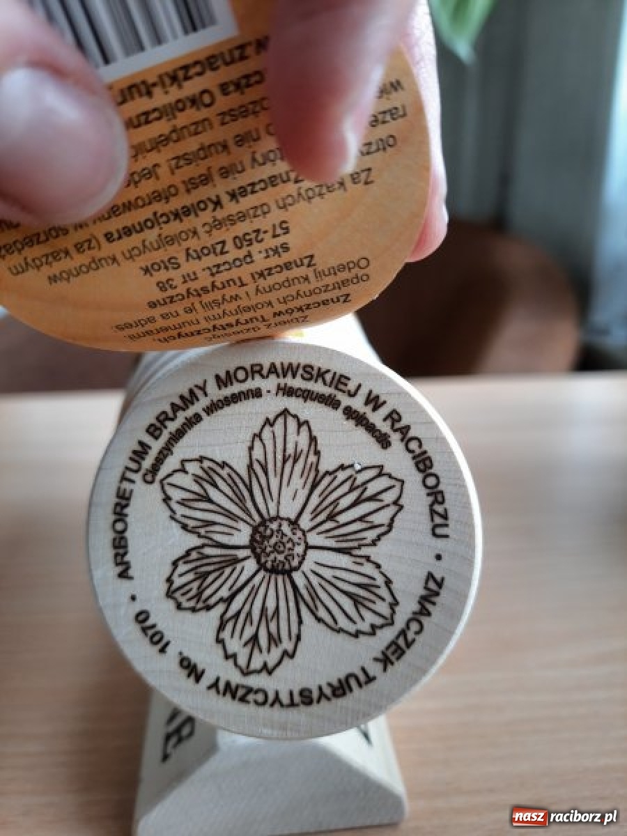 Zdjęcie w galerii na portalu naszraciborz.pl: Leśny kącik malucha kolejną atrakcją arboretum wiadomości z regionu