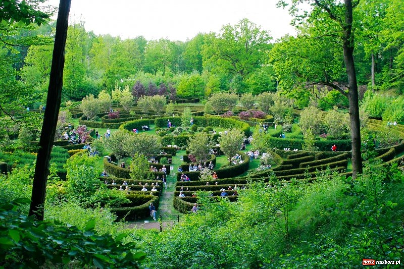 Zdjęcie w galerii na portalu naszraciborz.pl: Leśny kącik malucha kolejną atrakcją arboretum wiadomości z regionu