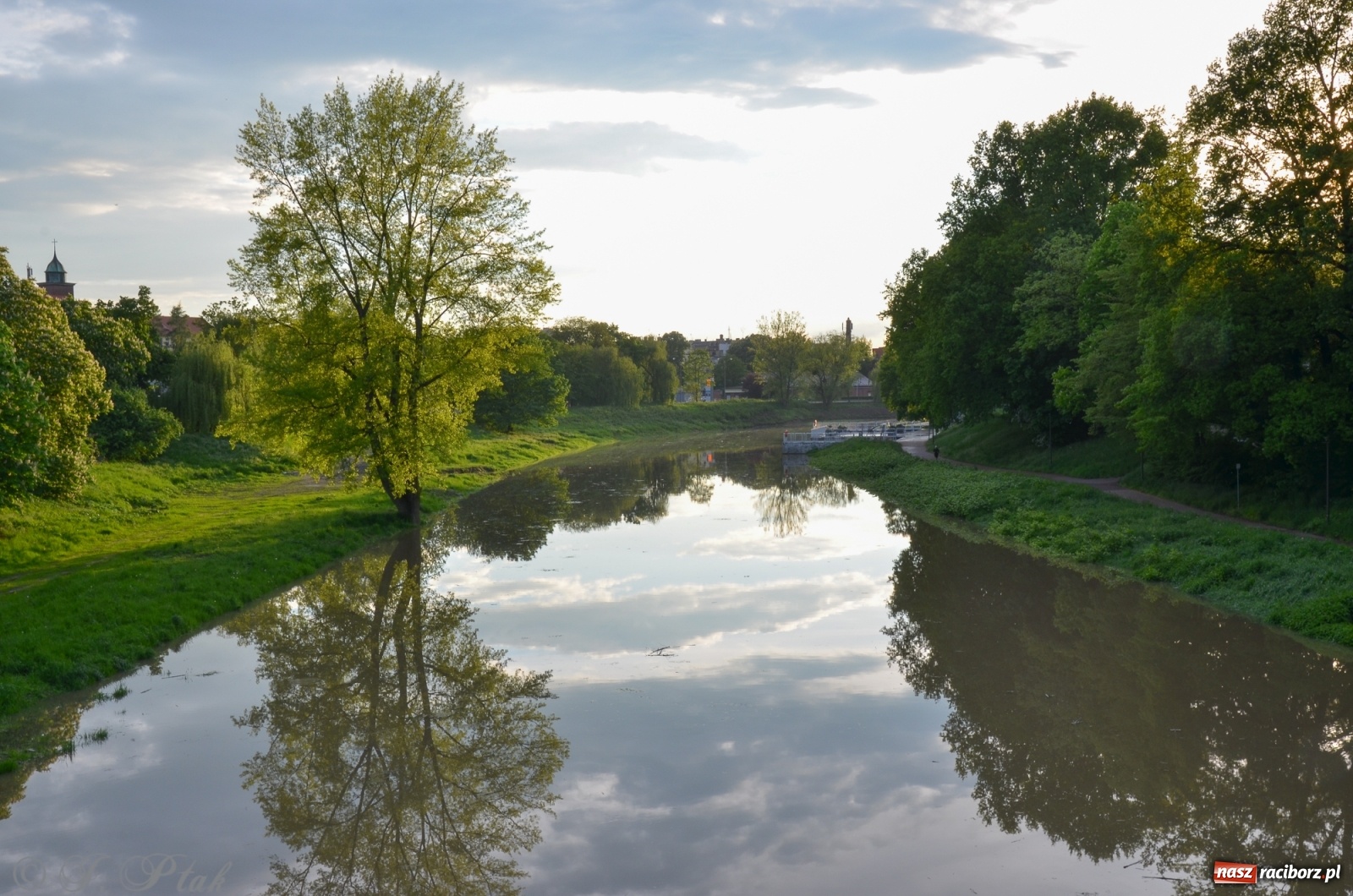 Zdjęcie w galerii na portalu naszraciborz.pl: Sytuacja hydrologiczna na górnej Odrze [FOTO] wiadomości z regionu