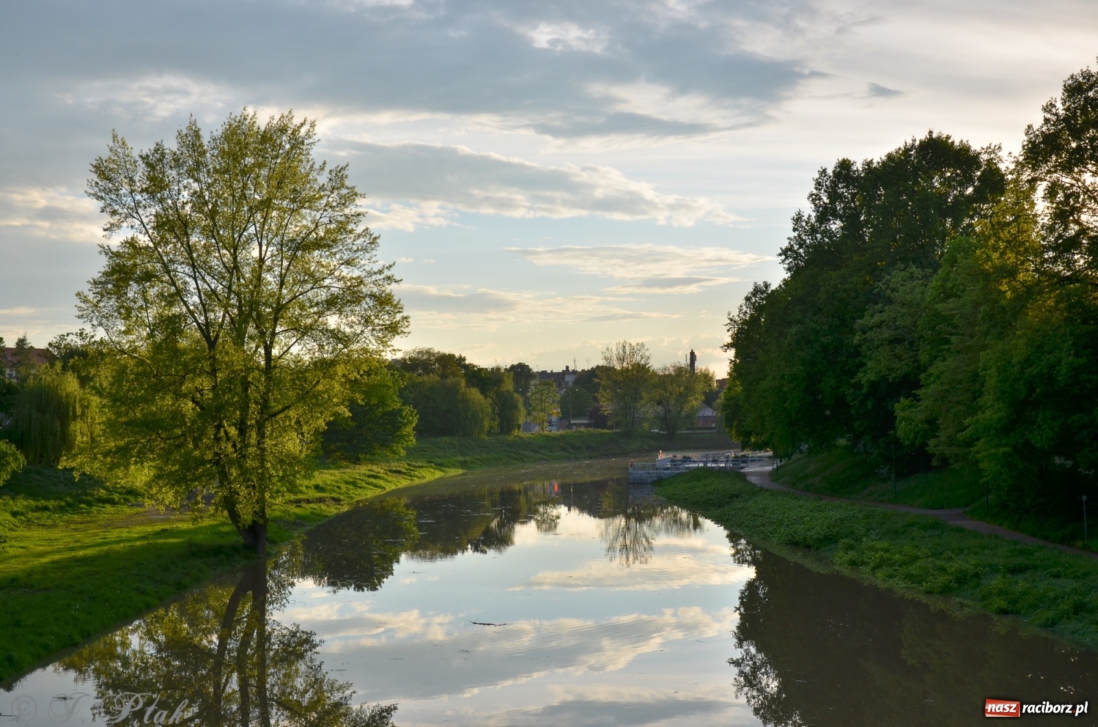 Zdjęcie w galerii na portalu naszraciborz.pl: Sytuacja hydrologiczna na górnej Odrze [FOTO] wiadomości z regionu
