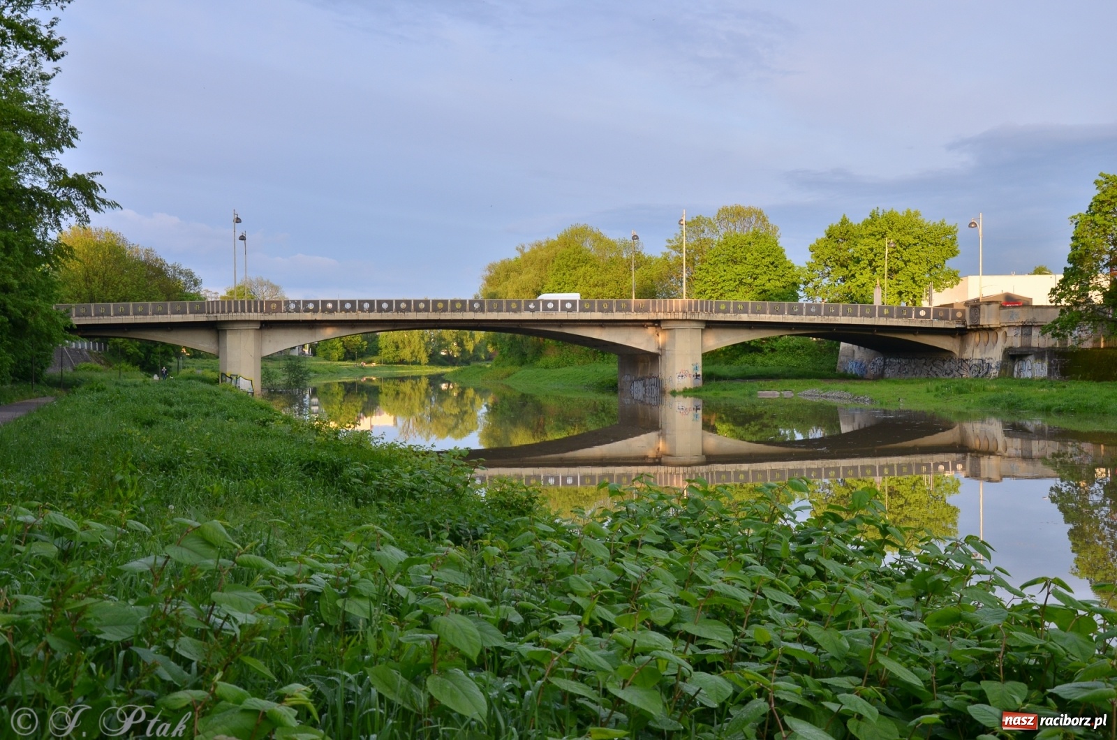 Zdjęcie w galerii na portalu naszraciborz.pl: Sytuacja hydrologiczna na górnej Odrze [FOTO] wiadomości z regionu