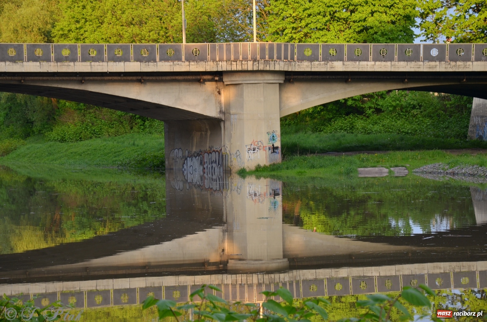 Zdjęcie w galerii na portalu naszraciborz.pl: Sytuacja hydrologiczna na górnej Odrze [FOTO] wiadomości z regionu