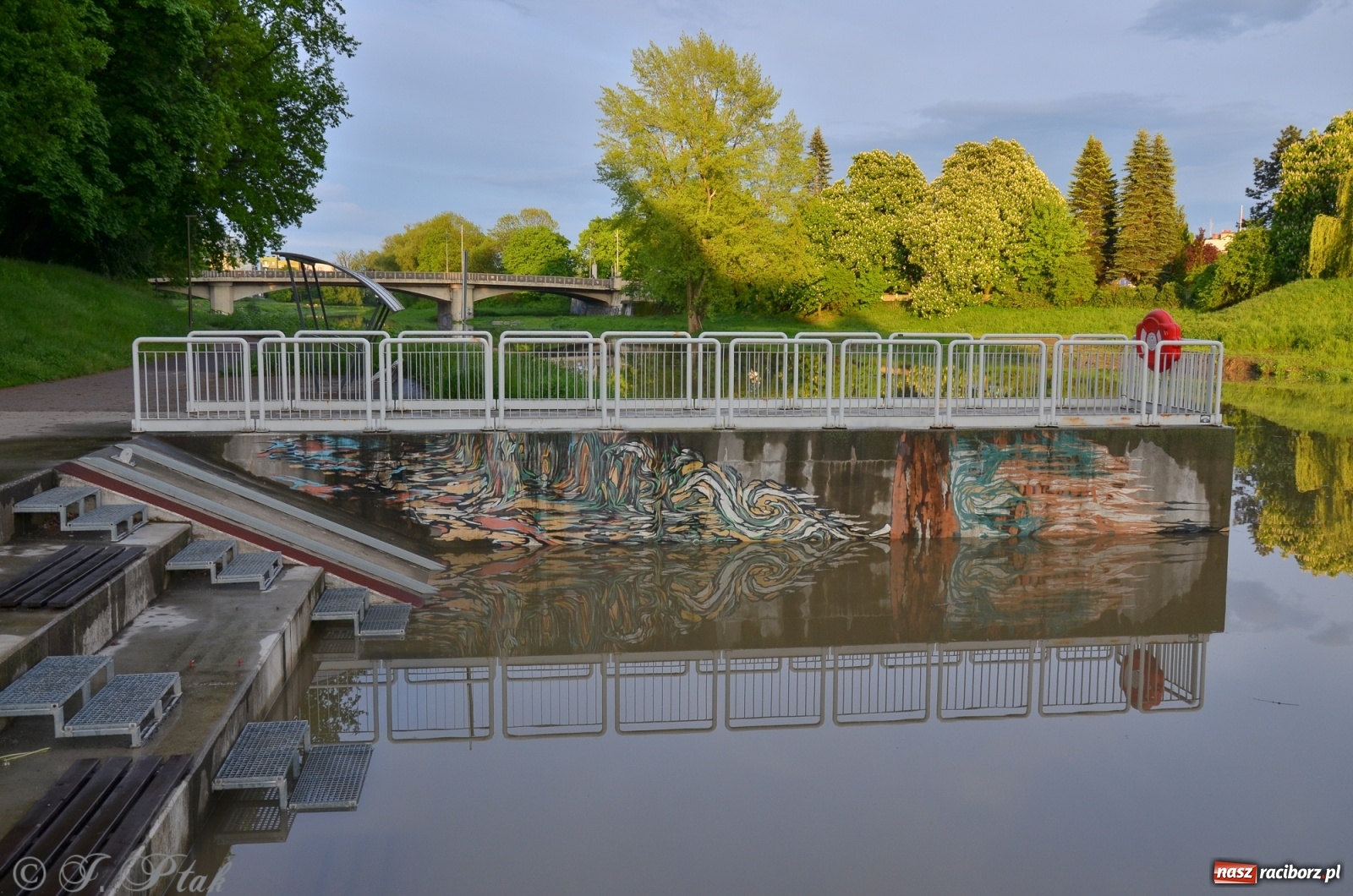Zdjęcie w galerii na portalu naszraciborz.pl: Sytuacja hydrologiczna na górnej Odrze [FOTO] wiadomości z regionu