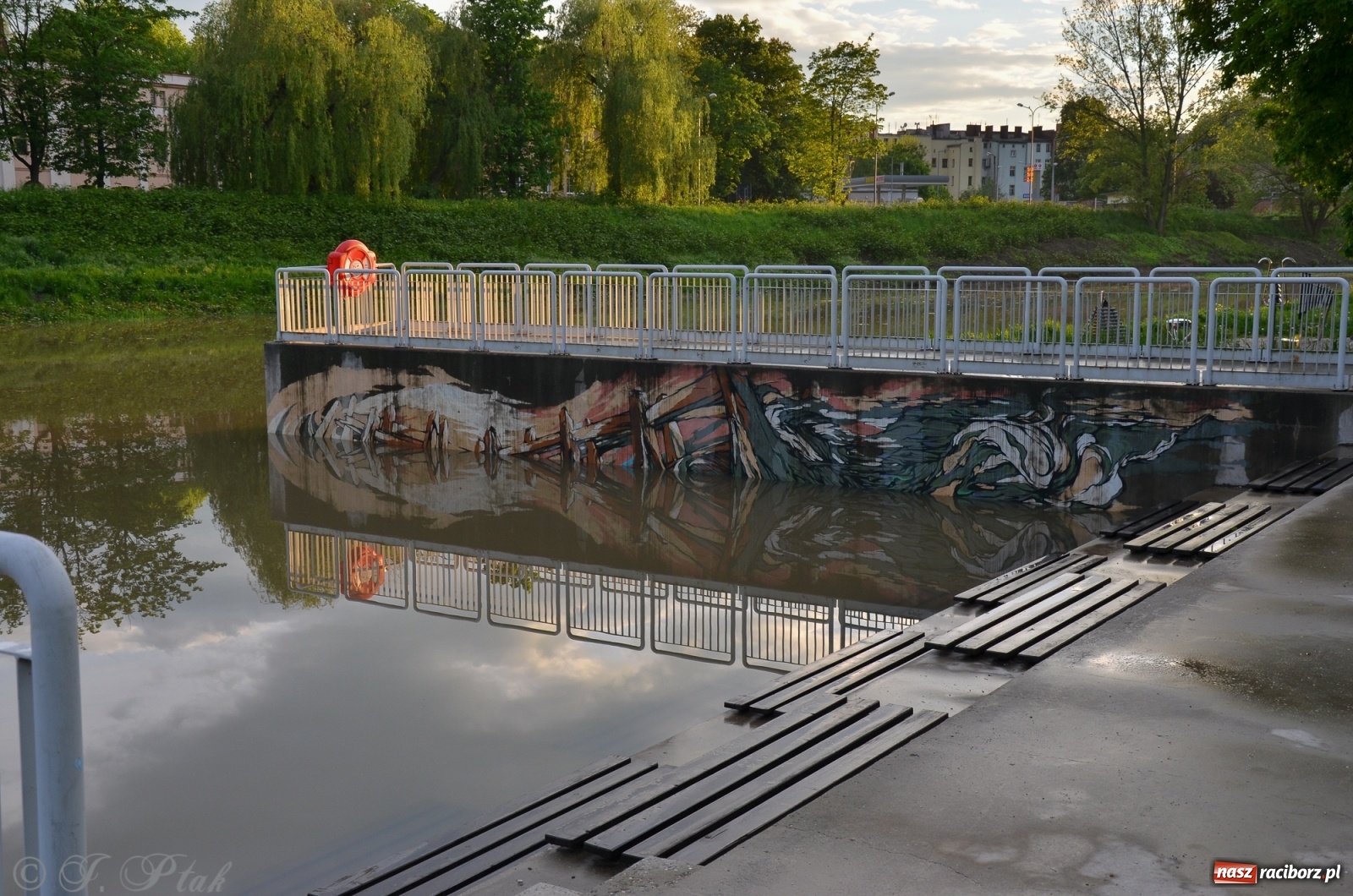 Zdjęcie w galerii na portalu naszraciborz.pl: Sytuacja hydrologiczna na górnej Odrze [FOTO] wiadomości z regionu