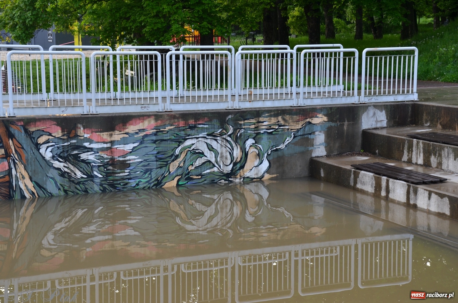 Zdjęcie w galerii na portalu naszraciborz.pl: Sytuacja hydrologiczna na górnej Odrze [FOTO] wiadomości z regionu