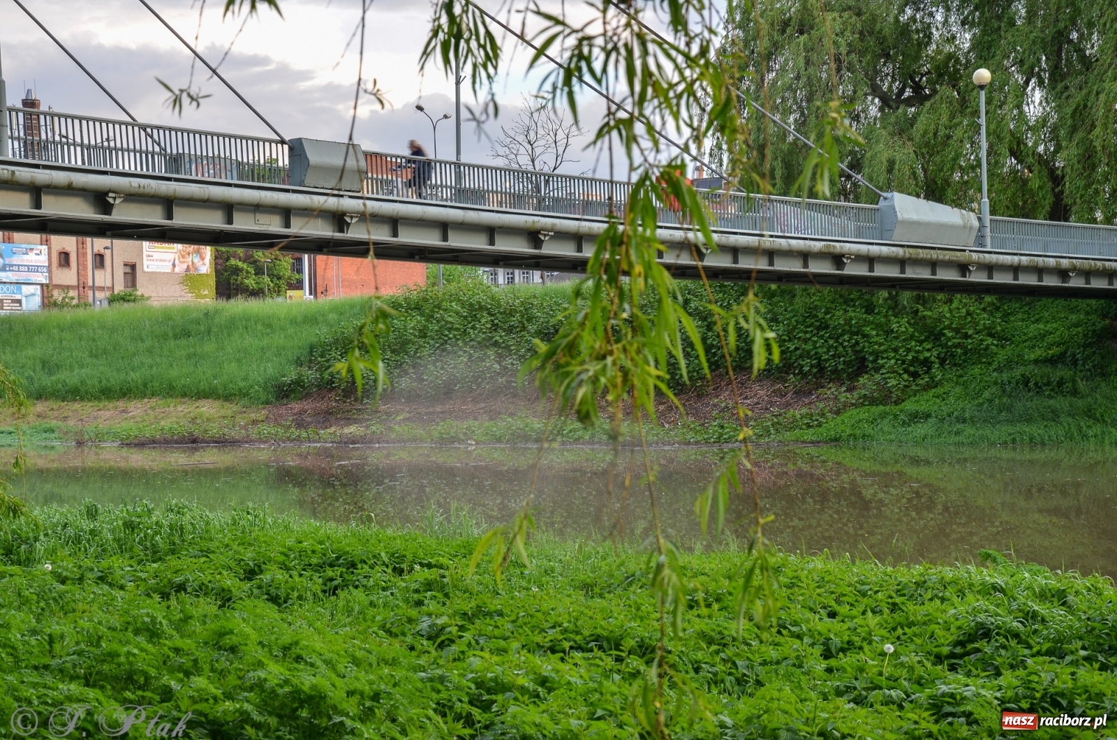 Zdjęcie w galerii na portalu naszraciborz.pl: Sytuacja hydrologiczna na górnej Odrze [FOTO] wiadomości z regionu