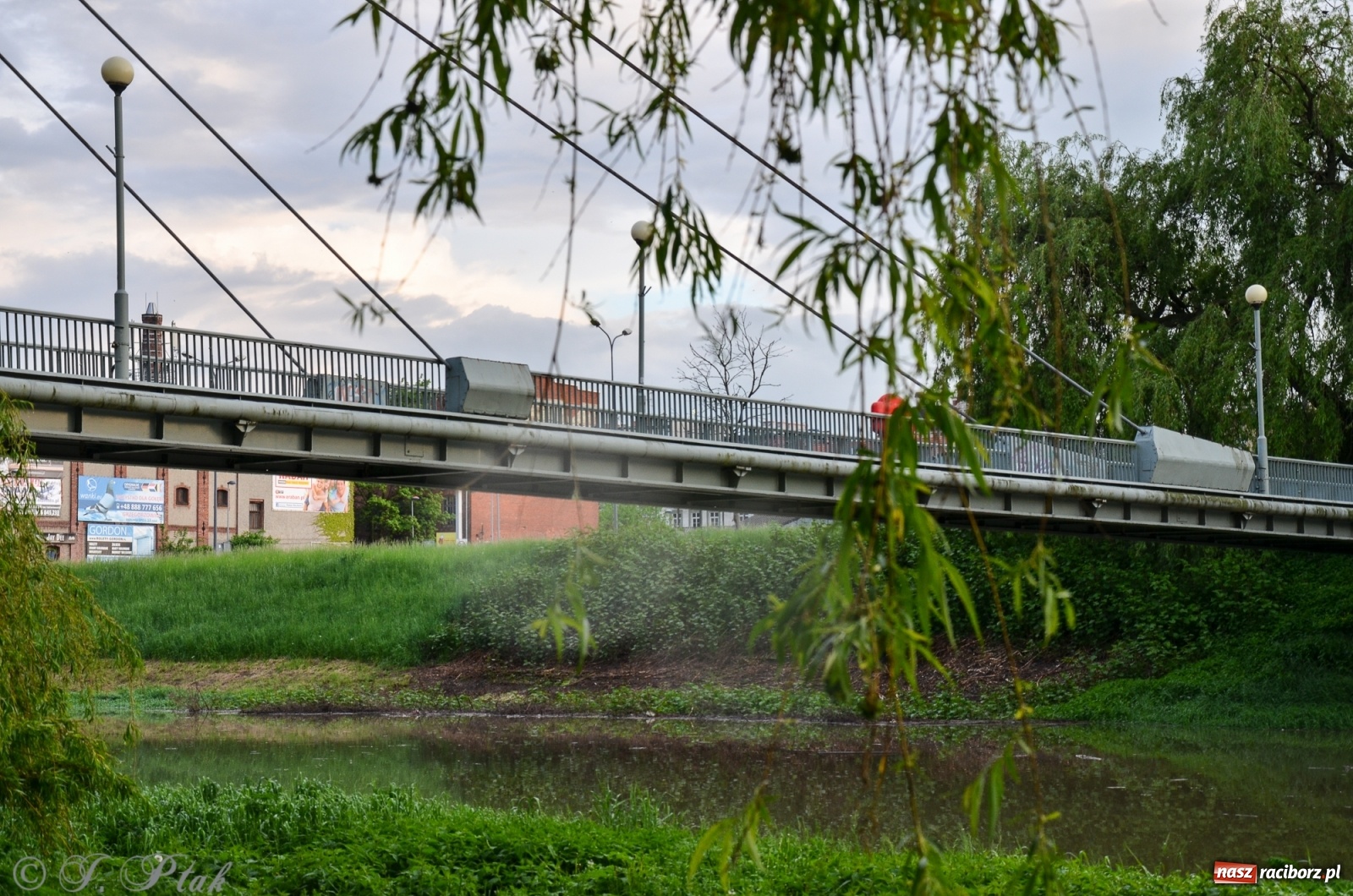 Zdjęcie w galerii na portalu naszraciborz.pl: Sytuacja hydrologiczna na górnej Odrze [FOTO] wiadomości z regionu