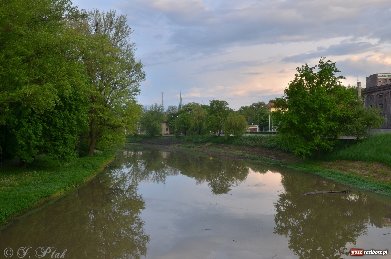 Zdjęcie w galerii na portalu naszraciborz.pl: Sytuacja hydrologiczna na górnej Odrze [FOTO] wiadomości z regionu