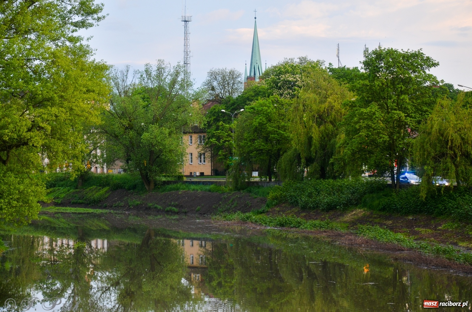 Zdjęcie w galerii na portalu naszraciborz.pl: Sytuacja hydrologiczna na górnej Odrze [FOTO] wiadomości z regionu