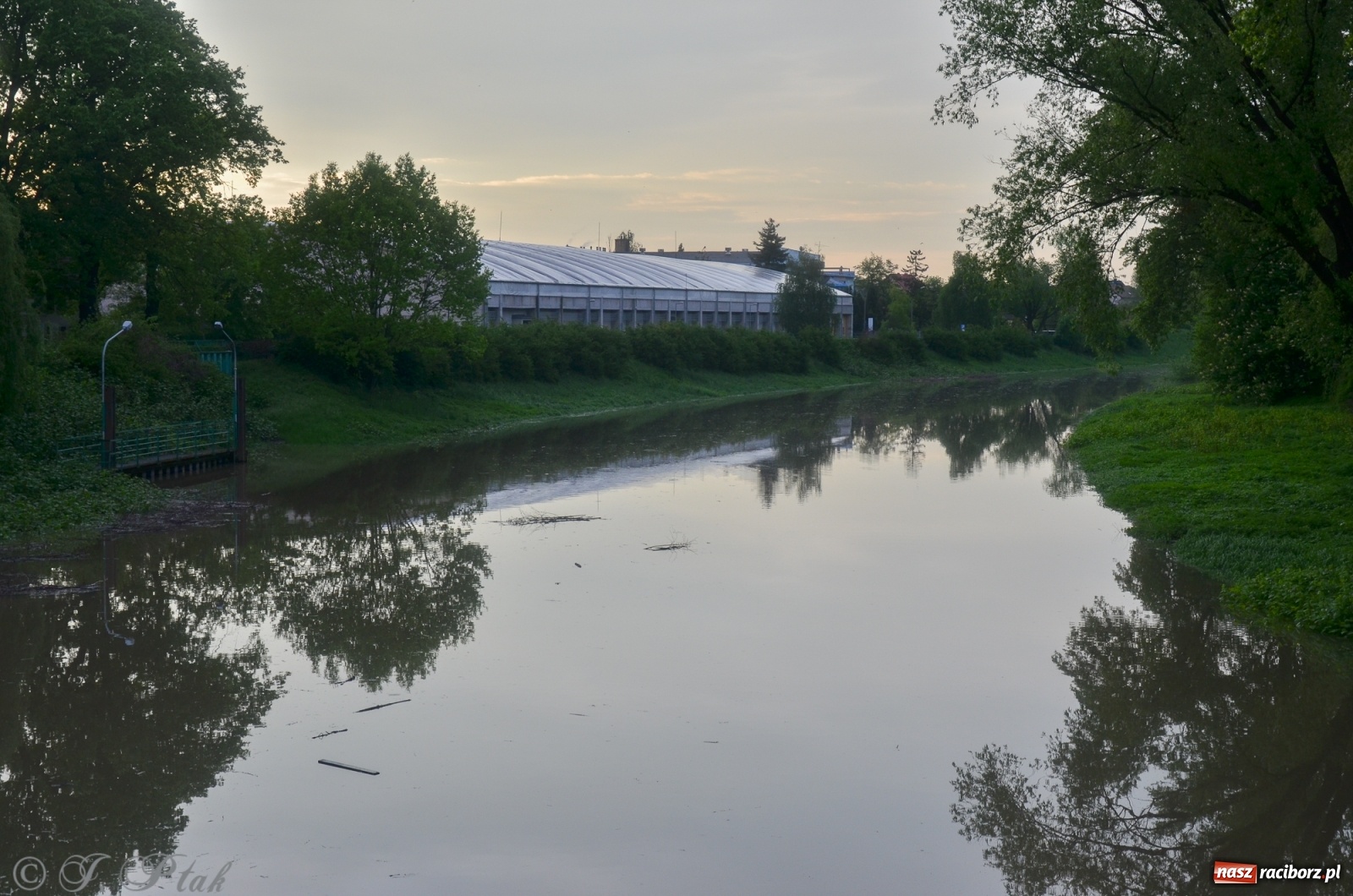 Zdjęcie w galerii na portalu naszraciborz.pl: Sytuacja hydrologiczna na górnej Odrze [FOTO] wiadomości z regionu