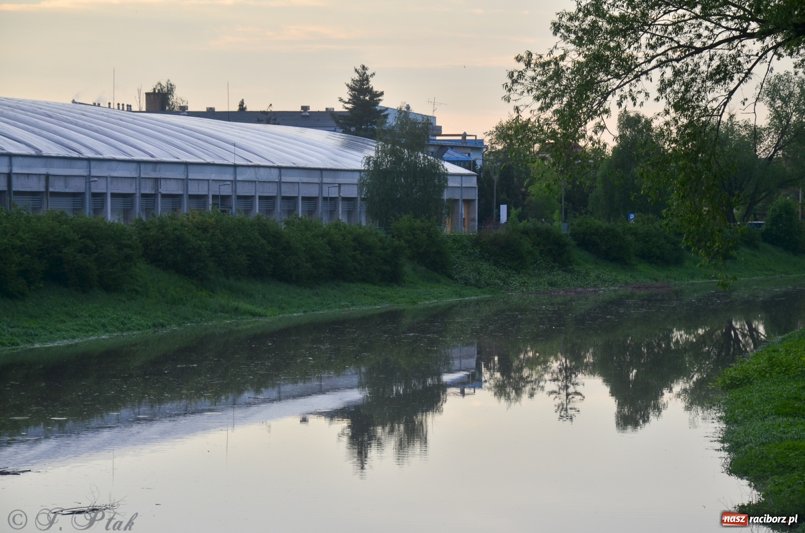 Zdjęcie w galerii na portalu naszraciborz.pl: Sytuacja hydrologiczna na górnej Odrze [FOTO] wiadomości z regionu