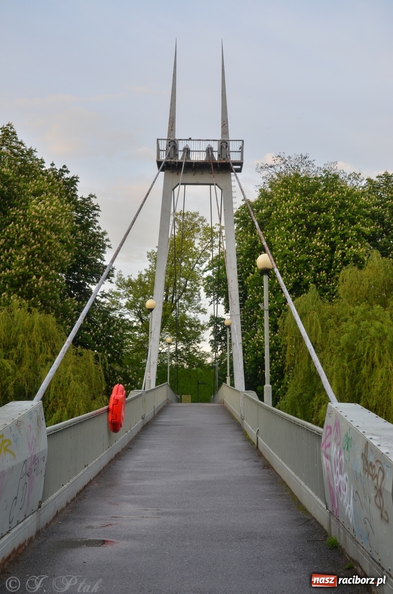 Zdjęcie w galerii na portalu naszraciborz.pl: Sytuacja hydrologiczna na górnej Odrze [FOTO] wiadomości z regionu