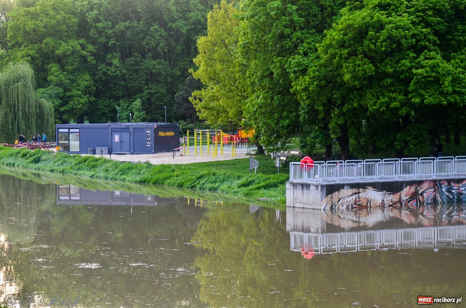Zdjęcie w galerii na portalu naszraciborz.pl: Sytuacja hydrologiczna na górnej Odrze [FOTO] wiadomości z regionu