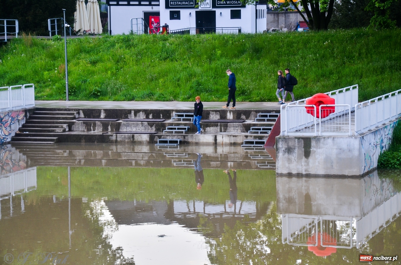 Zdjęcie w galerii na portalu naszraciborz.pl: Sytuacja hydrologiczna na górnej Odrze [FOTO] wiadomości z regionu