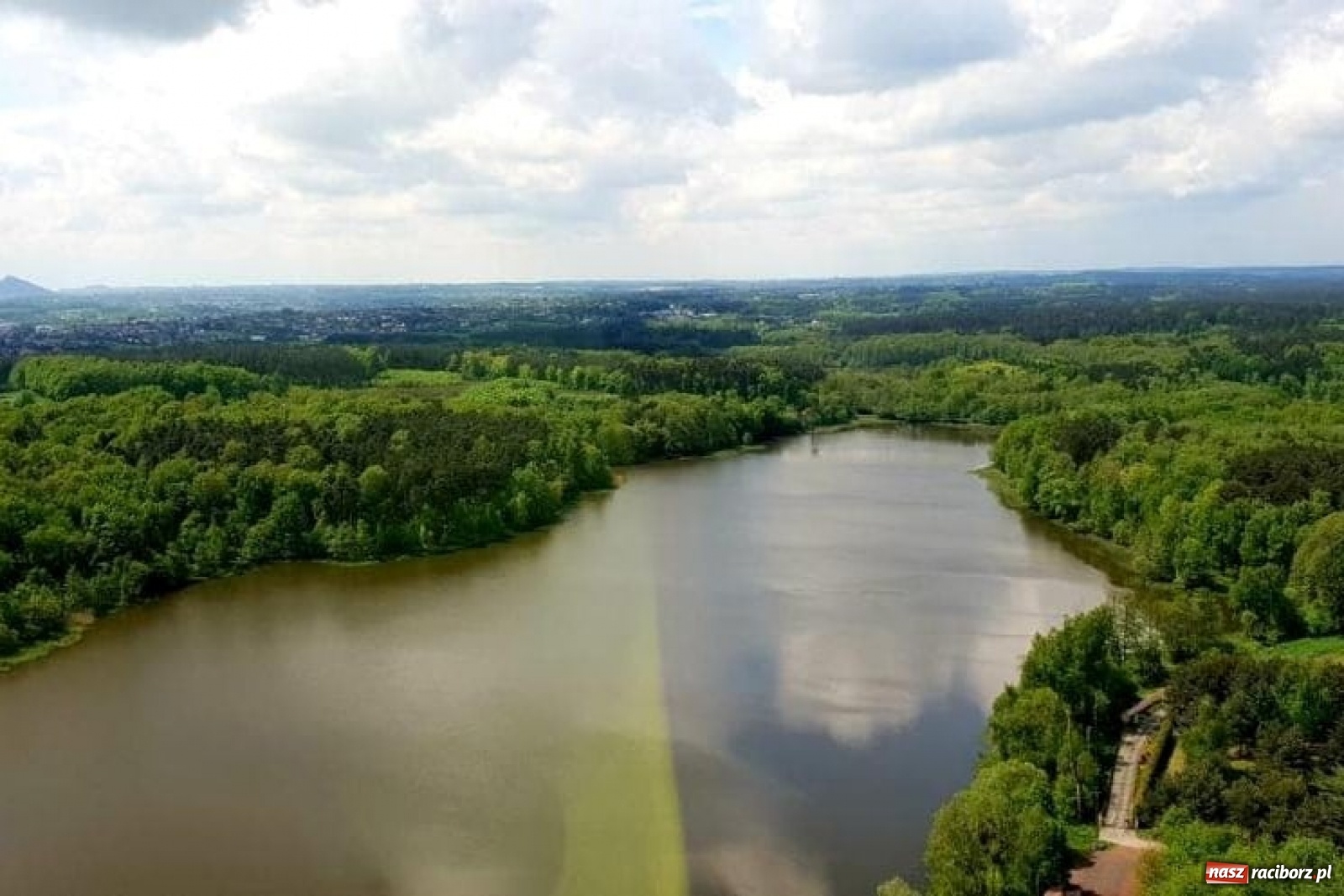 Zdjęcie w galerii na portalu naszraciborz.pl: Policyjny śmigłowiec nad powiatem raciborskim [FOTO i WIDEO] wiadomości z regionu