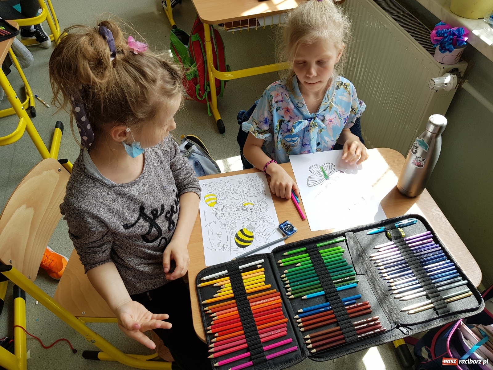 Zdjęcie w galerii na portalu naszraciborz.pl: Międzynarodowy Dzień Pszczół w tygodniu Laudato si wiadomości z regionu