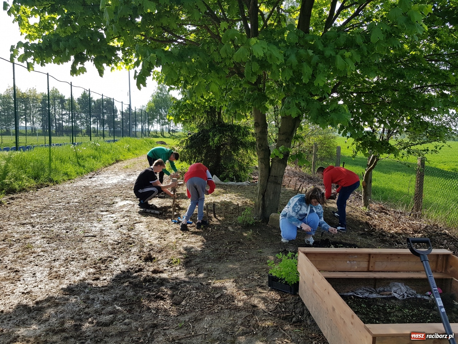 Zdjęcie w galerii na portalu naszraciborz.pl: Międzynarodowy Dzień Pszczół w tygodniu Laudato si wiadomości z regionu