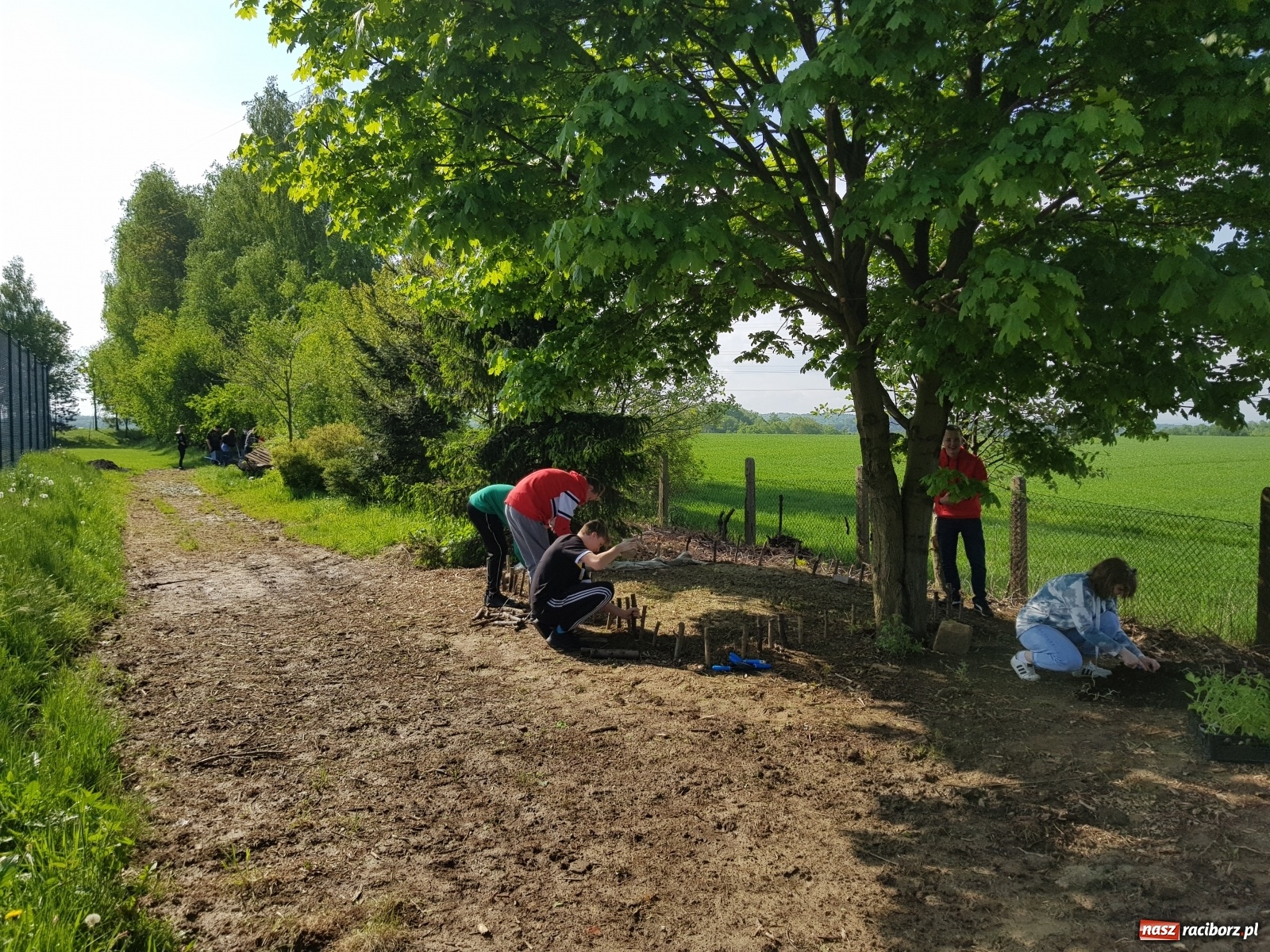 Zdjęcie w galerii na portalu naszraciborz.pl: Międzynarodowy Dzień Pszczół w tygodniu Laudato si wiadomości z regionu