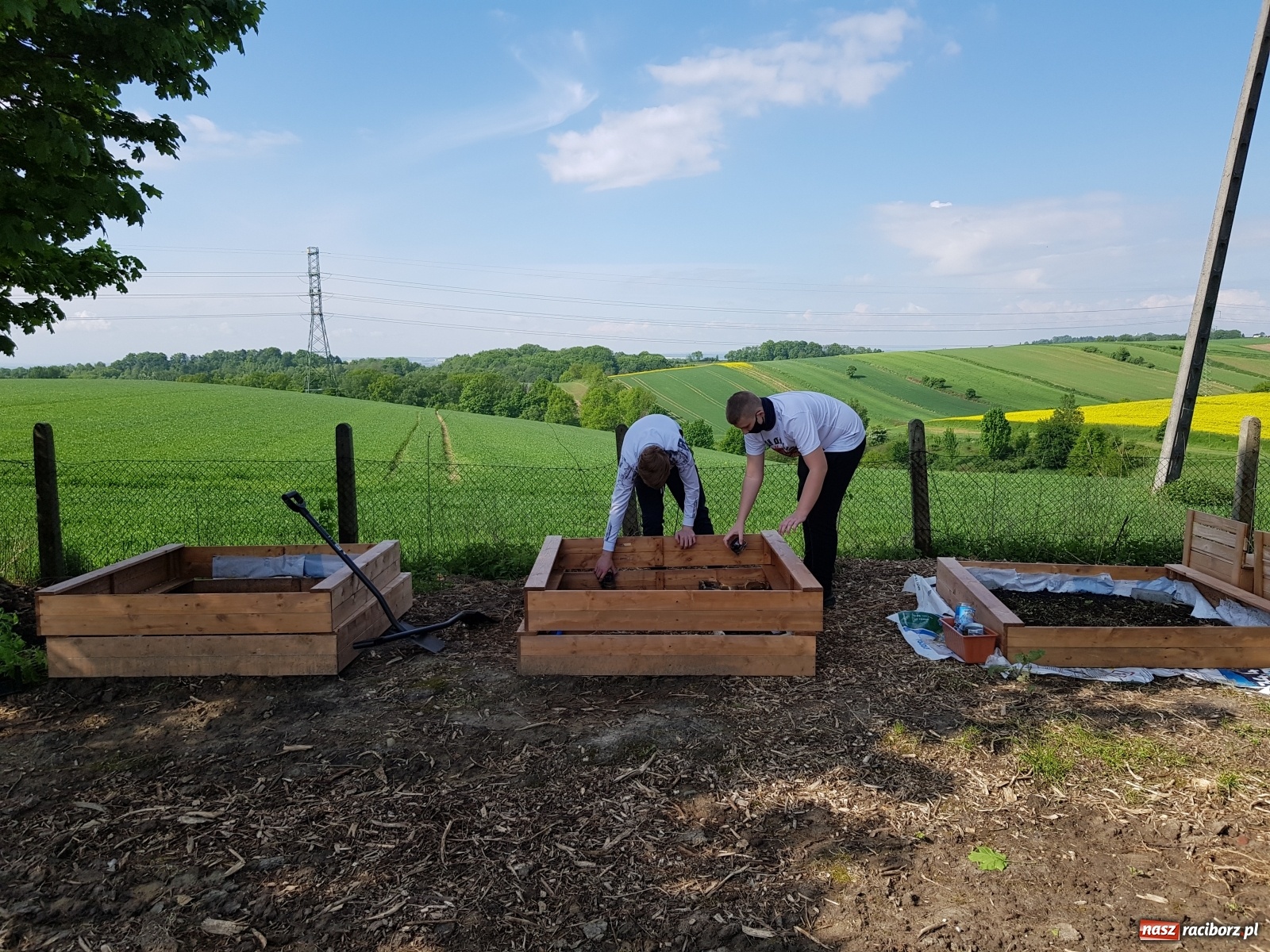 Zdjęcie w galerii na portalu naszraciborz.pl: Międzynarodowy Dzień Pszczół w tygodniu Laudato si wiadomości z regionu