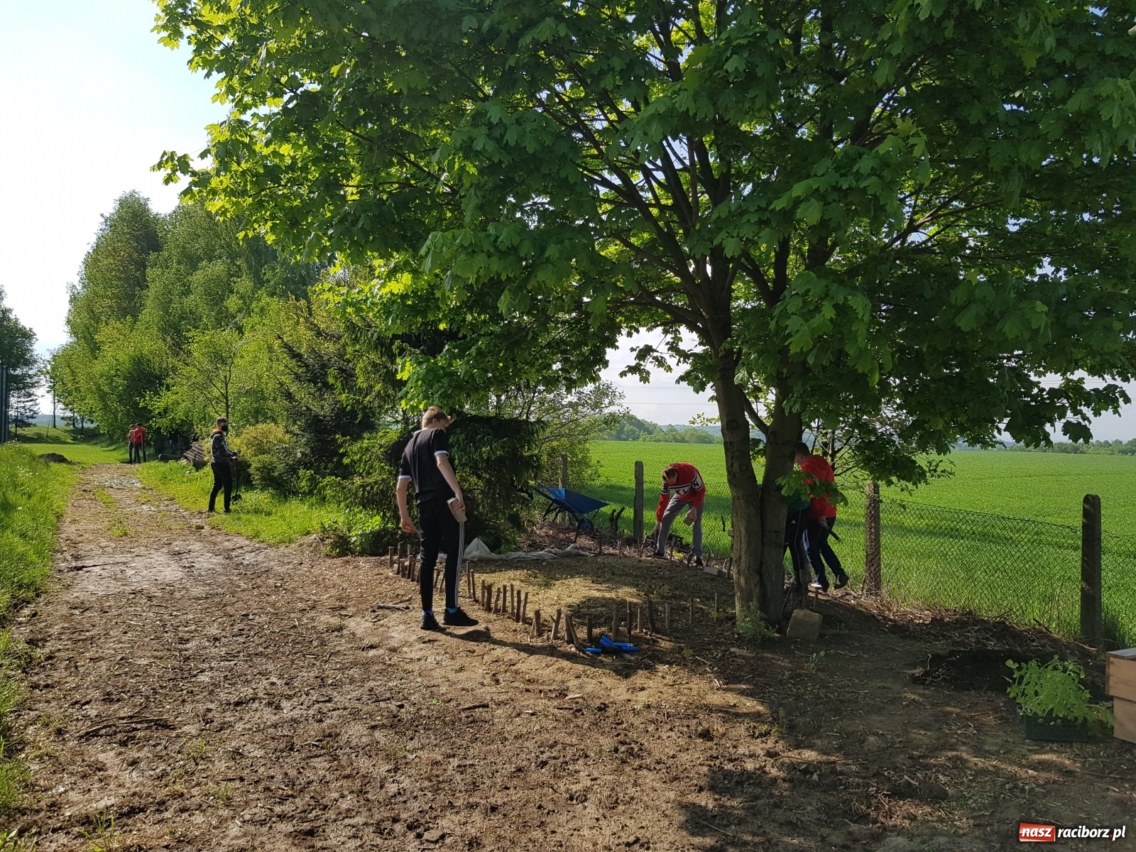 Zdjęcie w galerii na portalu naszraciborz.pl: Międzynarodowy Dzień Pszczół w tygodniu Laudato si wiadomości z regionu